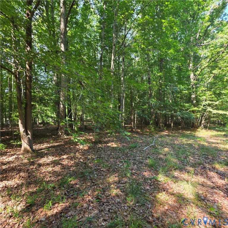Wendy Ln, Amelia Court House, VA 23002