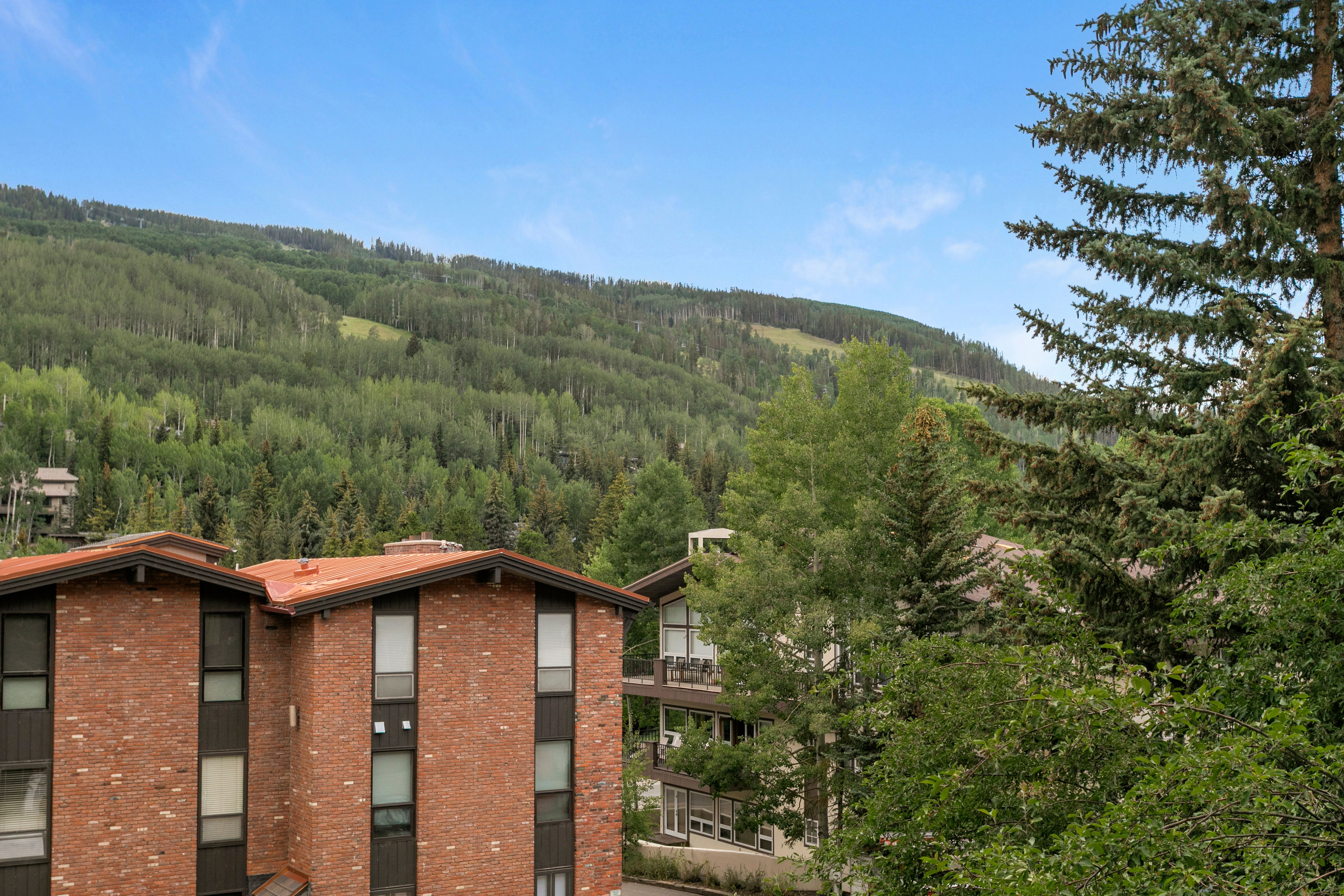  Tucked Away Between Vail Village and Lionshead with Ski Slope Views - 物件實景
