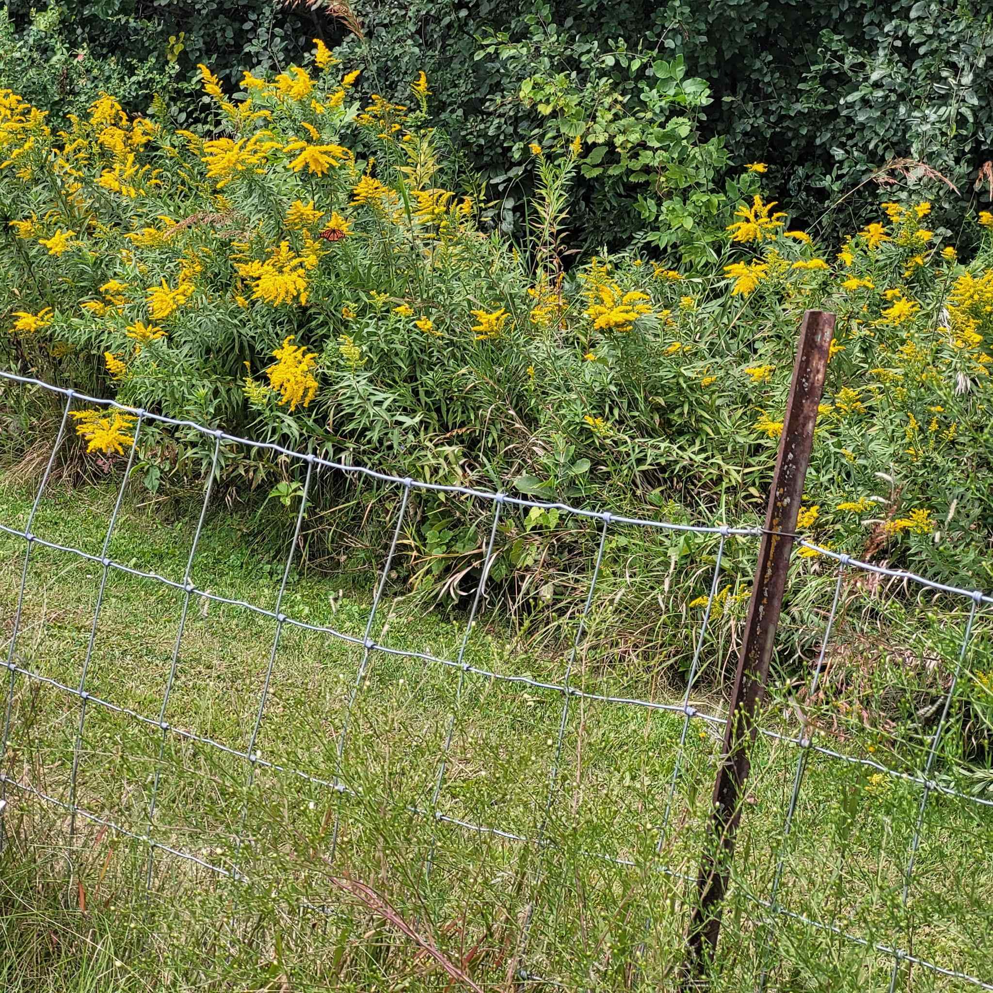 Fitchburg, Wisconsin, 53711, United States, 4 Bedrooms Bedrooms, ,4 BathroomsBathrooms,Residential,For Sale,1977409