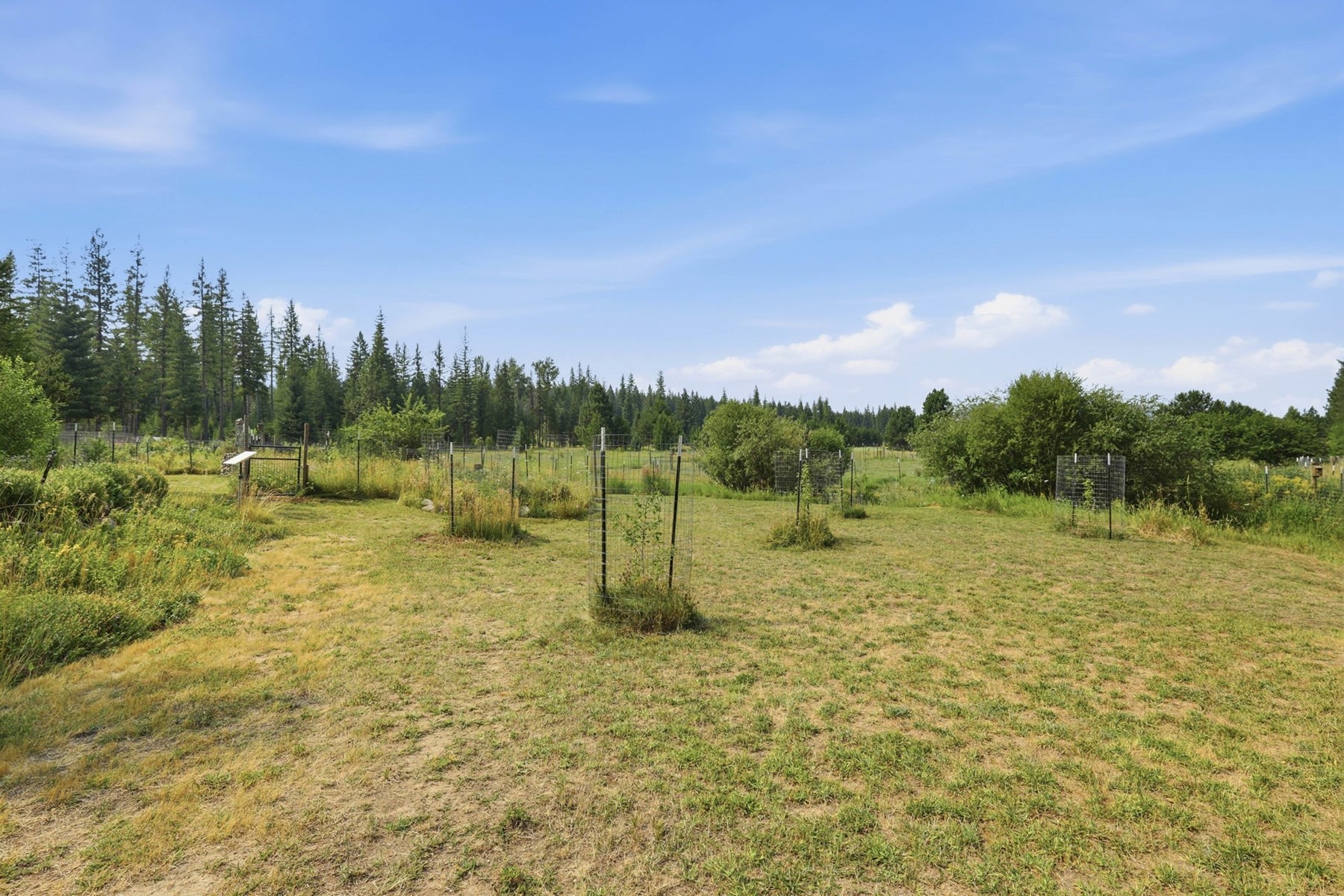  26314 E Blanchard Rd - 物件實景