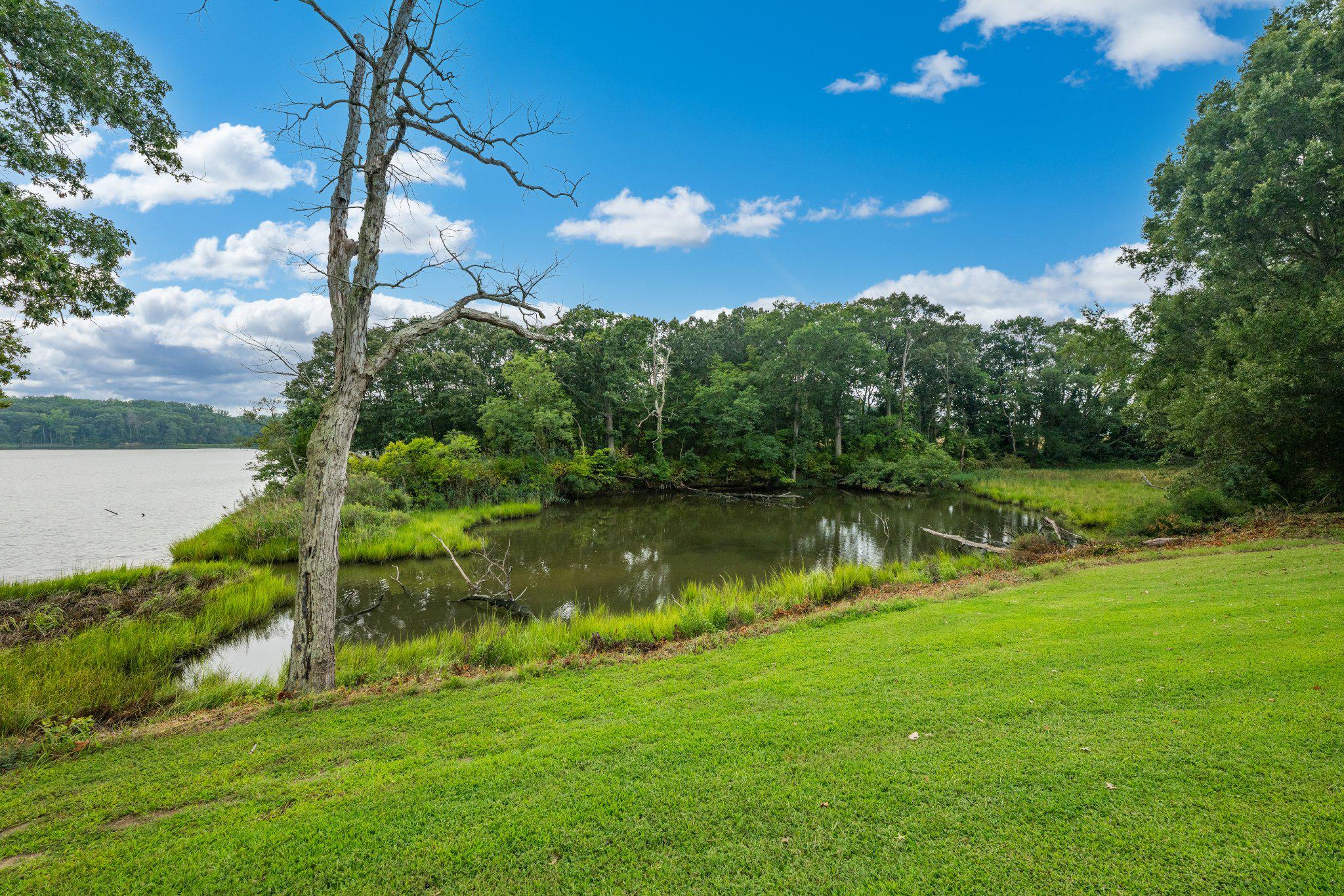  491 Wye Island Road, Queenstown, MD, 21658 - 物件實景