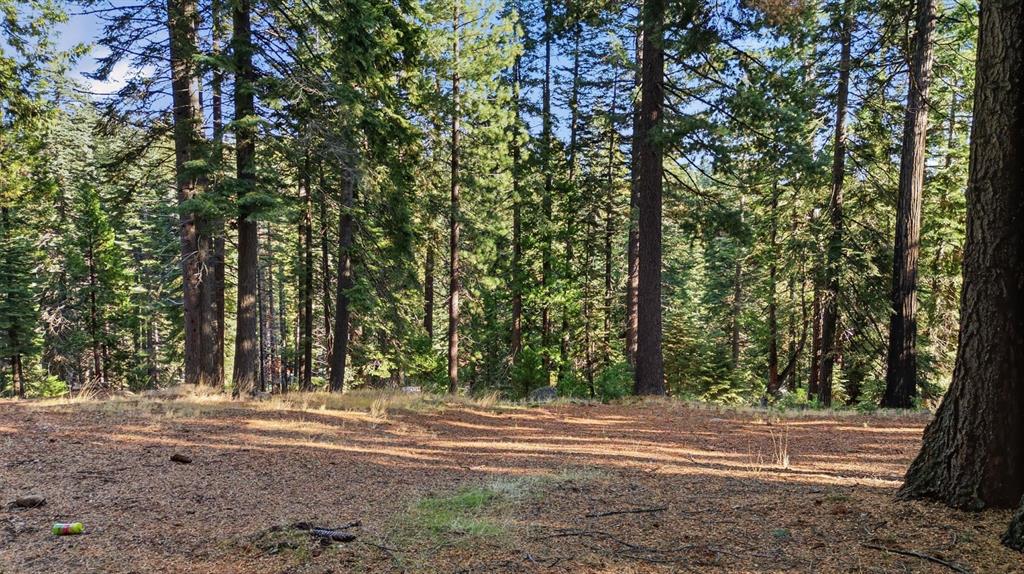 Lake Almanor, California, 96137, United States, 2 Bedrooms Bedrooms, ,3 BathroomsBathrooms,Residential,For Sale,2001829