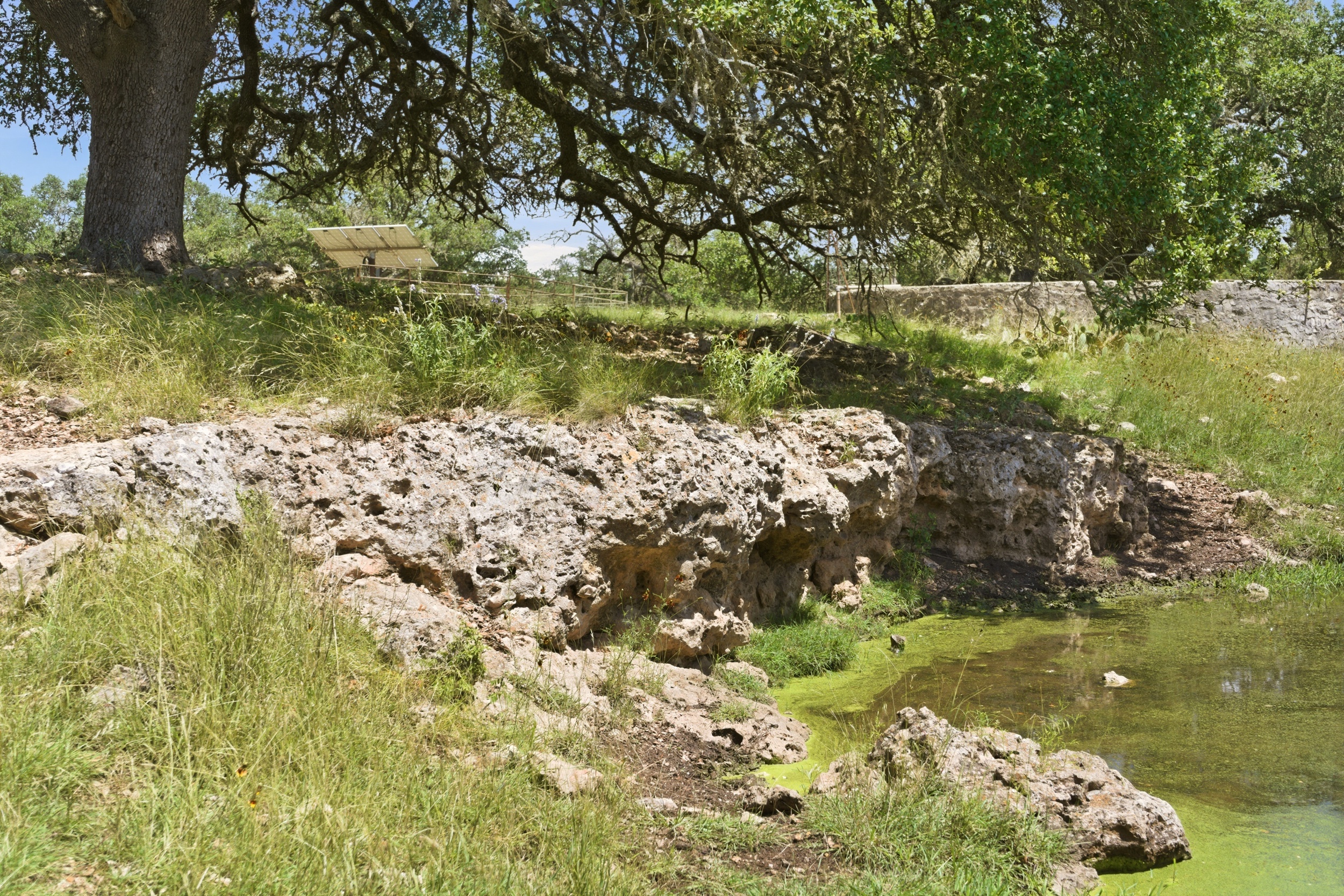  CavaLoma Ranch in Kerr COunty - 物件實景