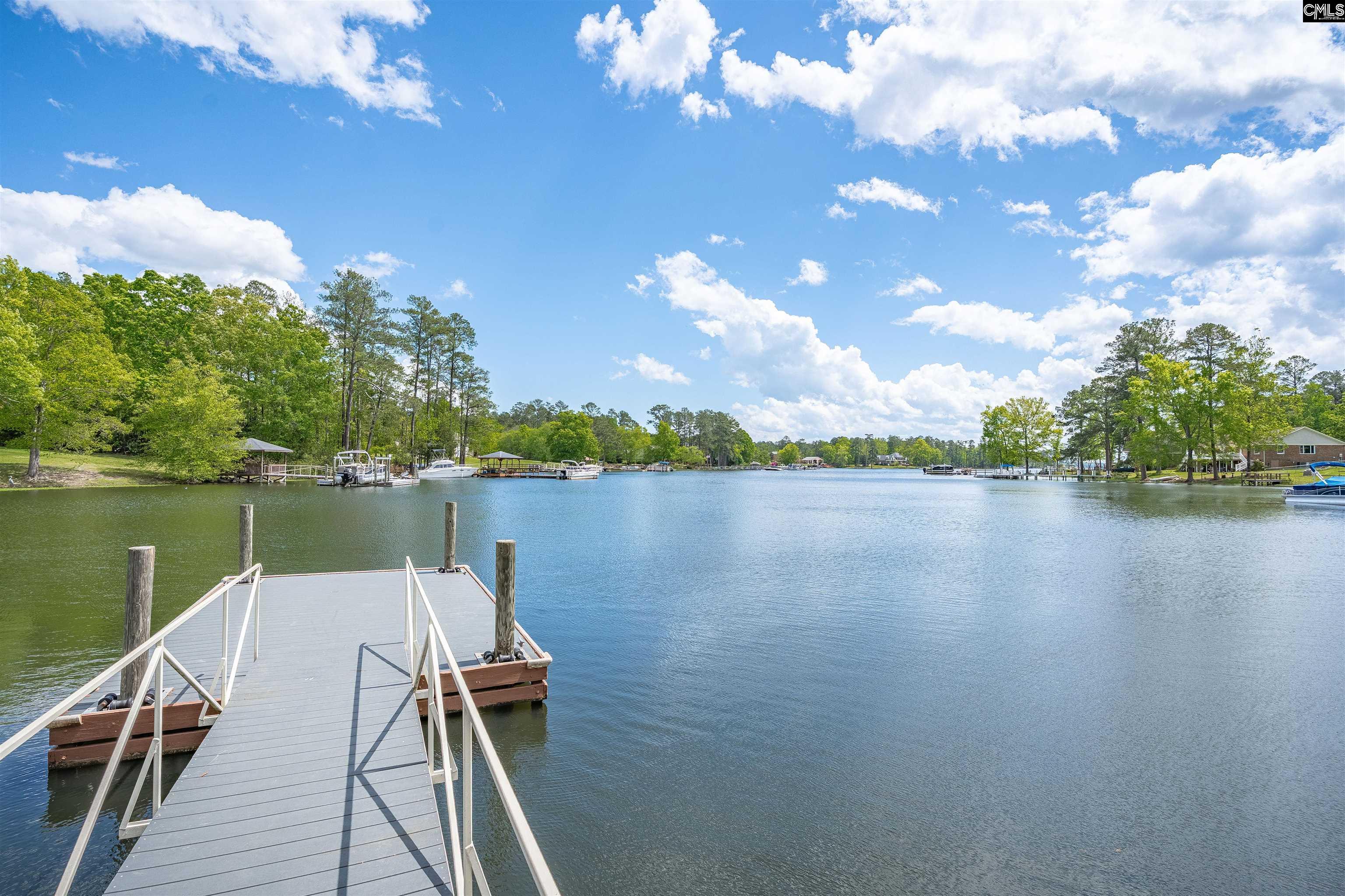 Chapin, South Carolina, 29036, United States, 5 Bedrooms Bedrooms, ,5 BathroomsBathrooms,Residential,For Sale,1932837