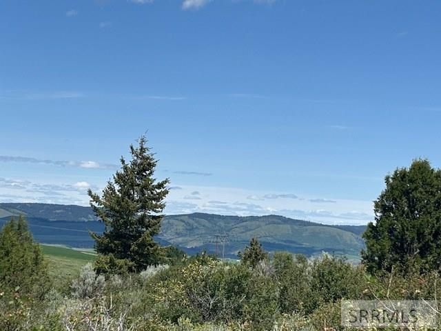 RIRIE, Idaho, 83443, United States, ,Residential,For Sale,1974893