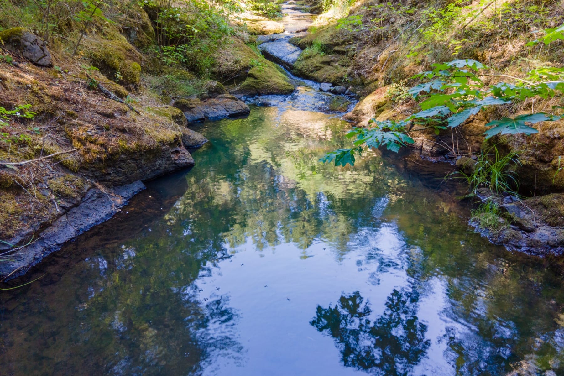  82 MEADOWS LOOP Lyle, WA 98635 - 物件實景