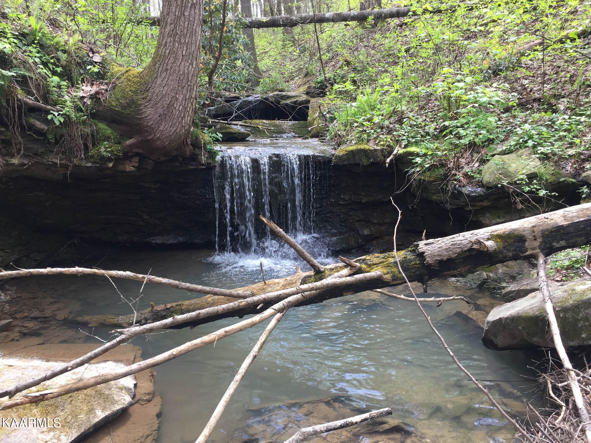 Pikeville, Tennessee, 37367, United States, ,Residential,For Sale,1943070