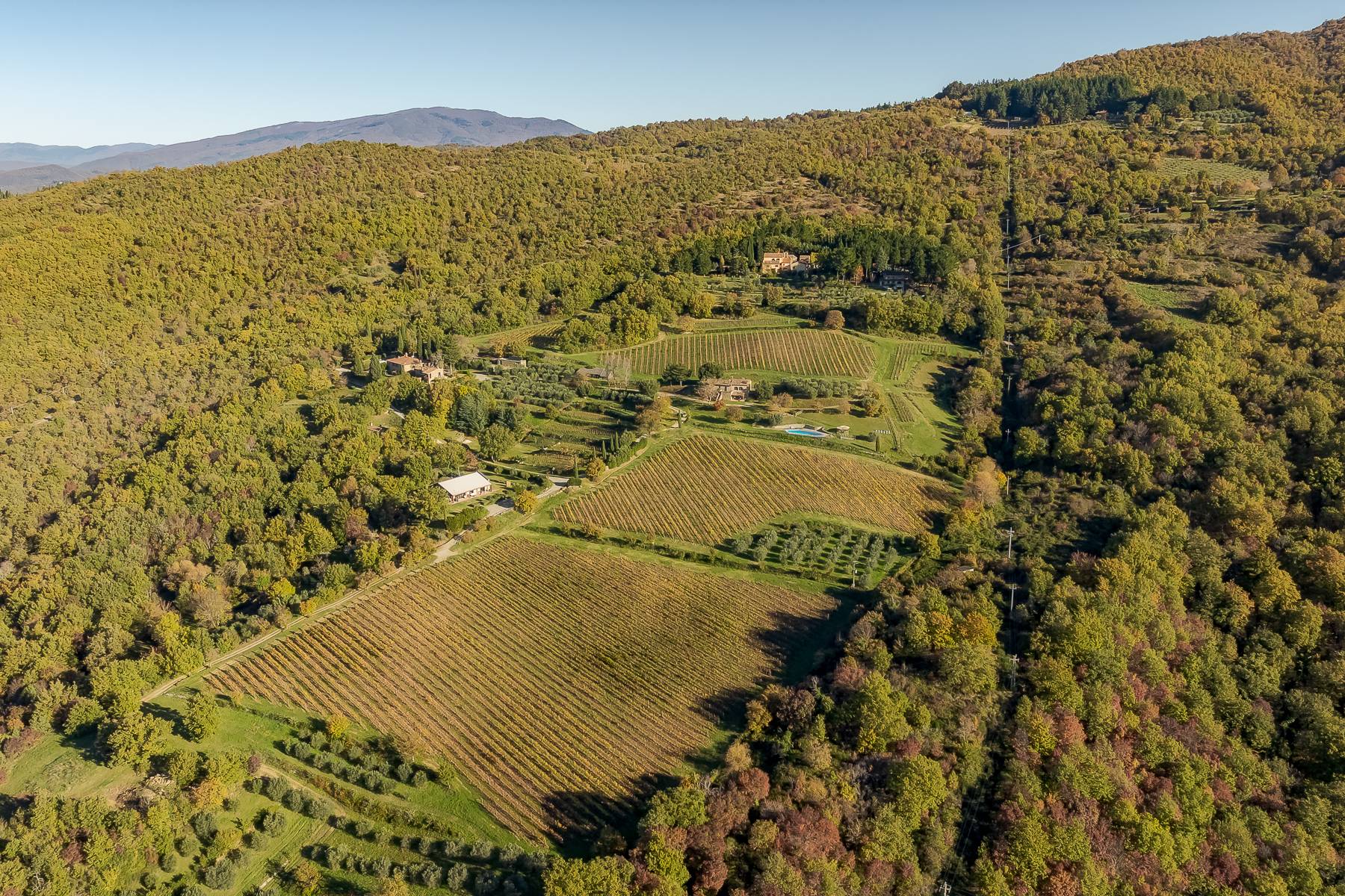  Enchanting estate nestled in the hills of Tuscany - 物件實景