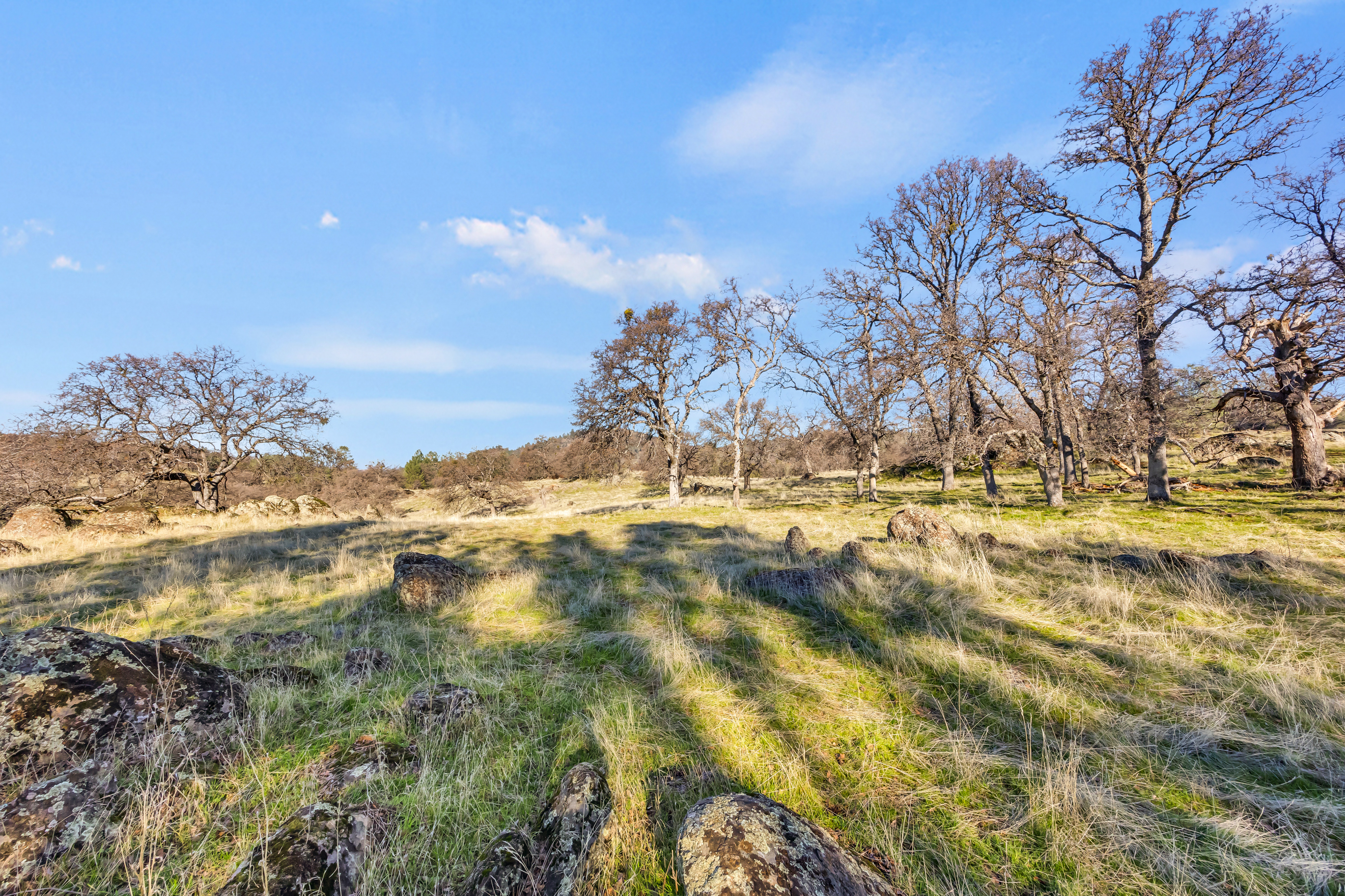  23443 Corino Way, Grass Valley, CA 95949 - 物件實景