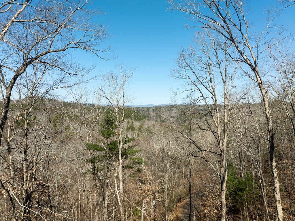 Ellijay, Georgia, 30540, United States, 4 Bedrooms Bedrooms, ,4 BathroomsBathrooms,Residential,For Sale,1858933