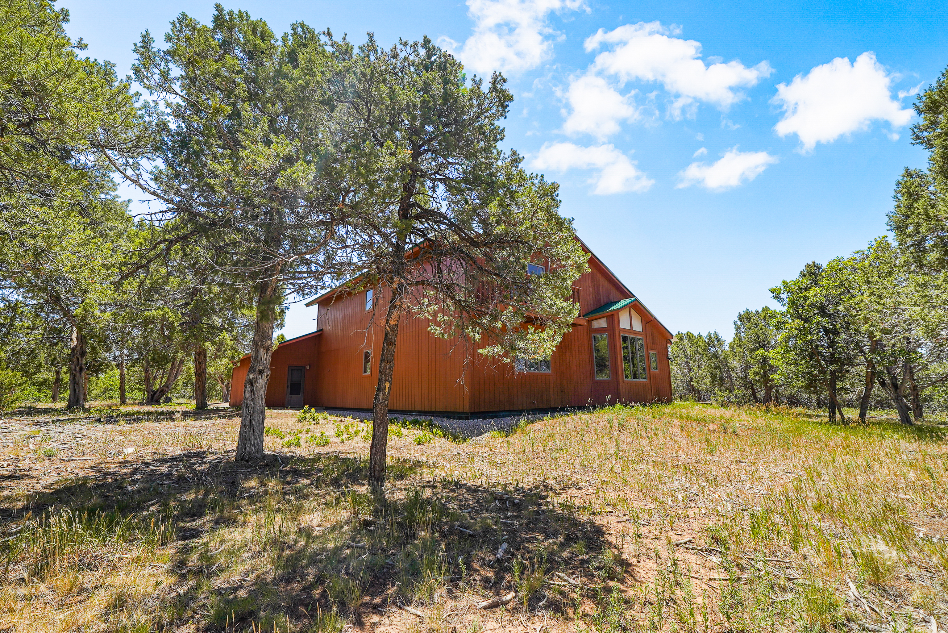  1326 County Road 220, Durango, CO 81303 - 物件實景