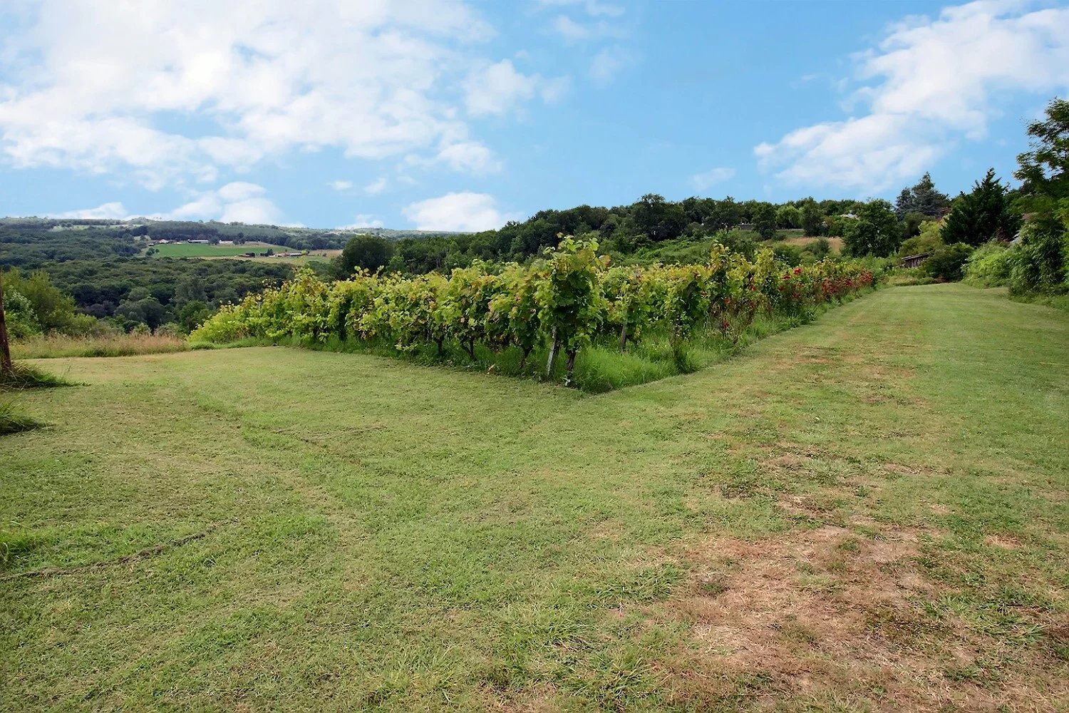 Bazas, Aquitaine, 33430, FR, ,Residential,For Sale,1304698