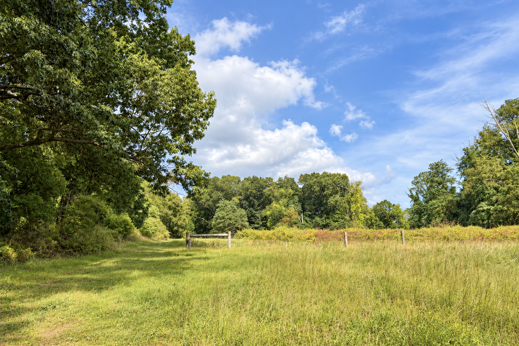  Secluded 82 Acre Farm Estate With Multiple Residences - 物件實景