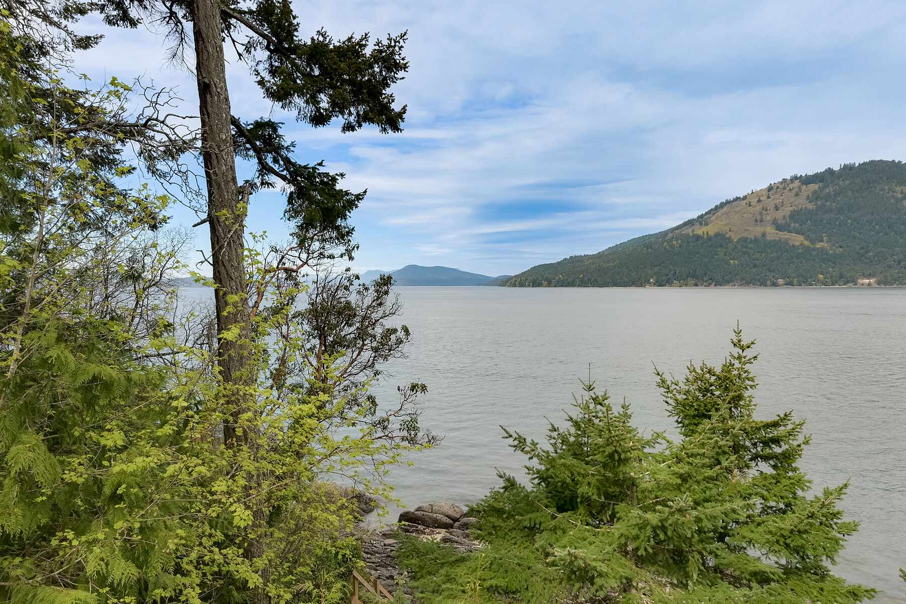  Serene Woodland Charm - 物件實景