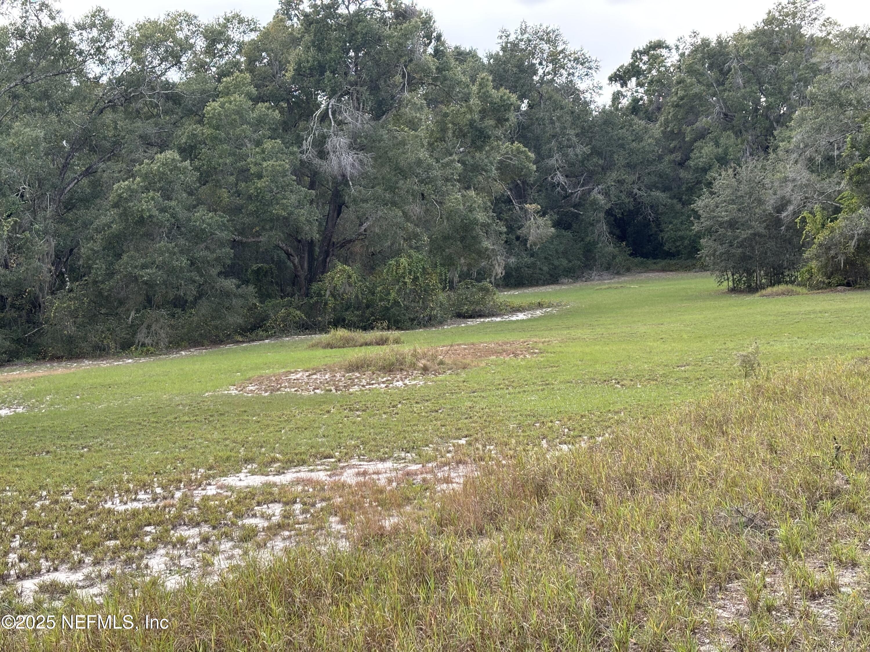 Apopka, Florida, 32712, United States, ,Land,For Sale,2002900