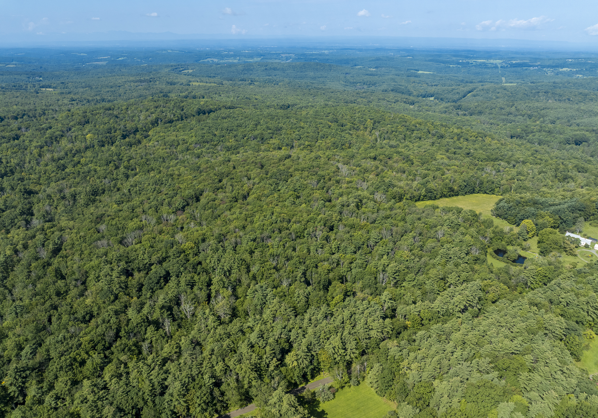  1,180+ Feet of Frontage: Privacy & Seclusion within Easy Reach of the Berkshires - 物件實景