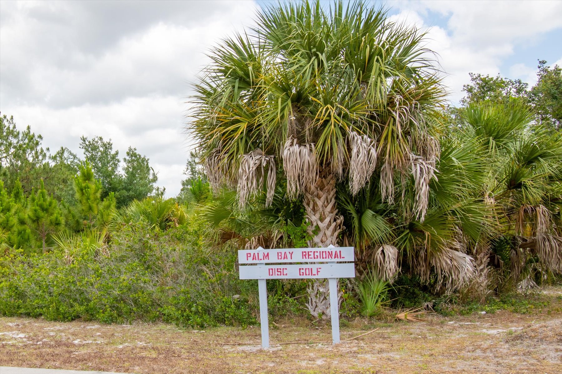  290 Dobbins Road NW, Palm Bay, FL, 32907 - 物件實景