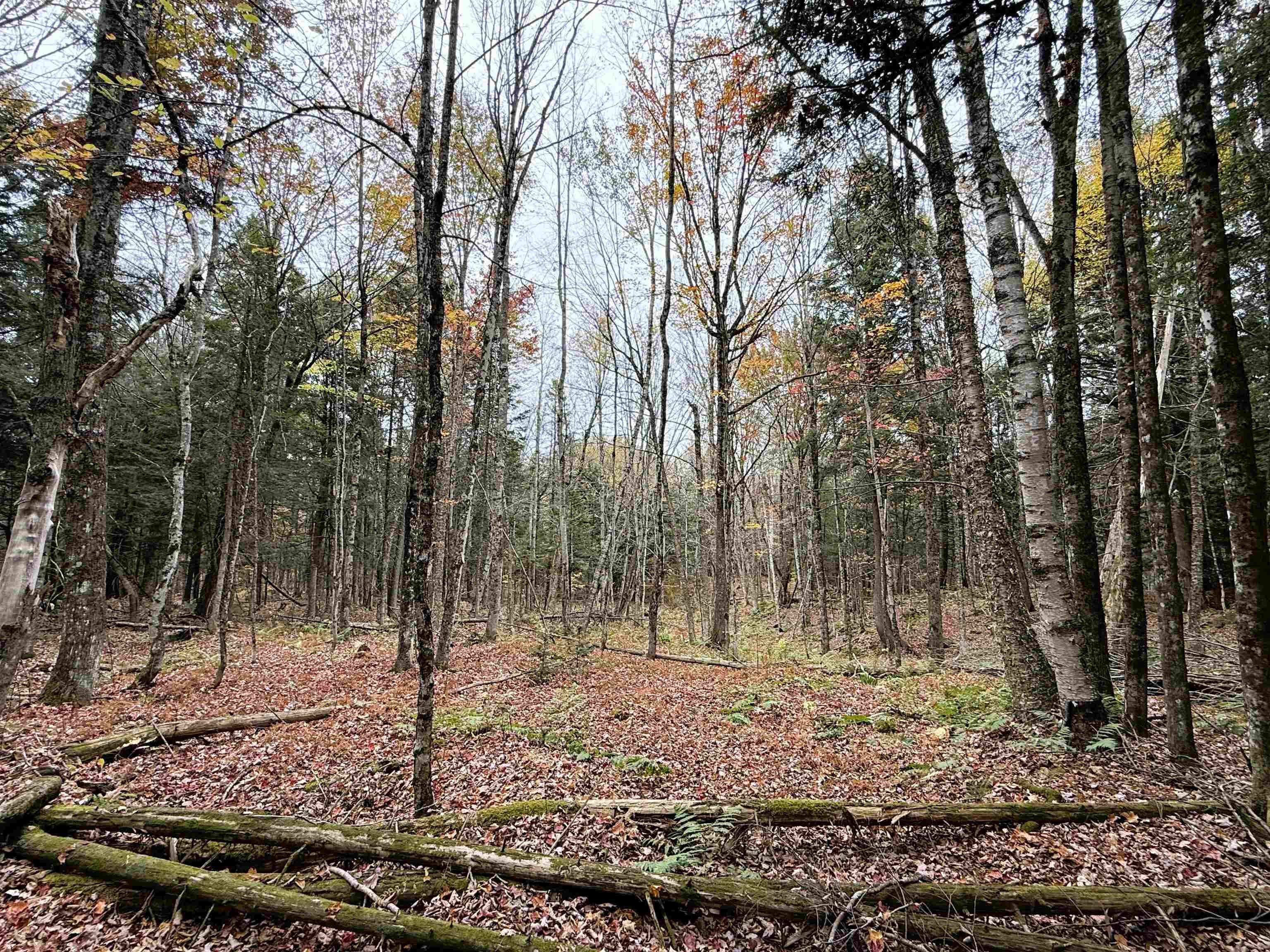 Newport Town, Vermont, 05857, United States, 3 Bedrooms Bedrooms, ,3 BathroomsBathrooms,Residential,For Sale,1980373