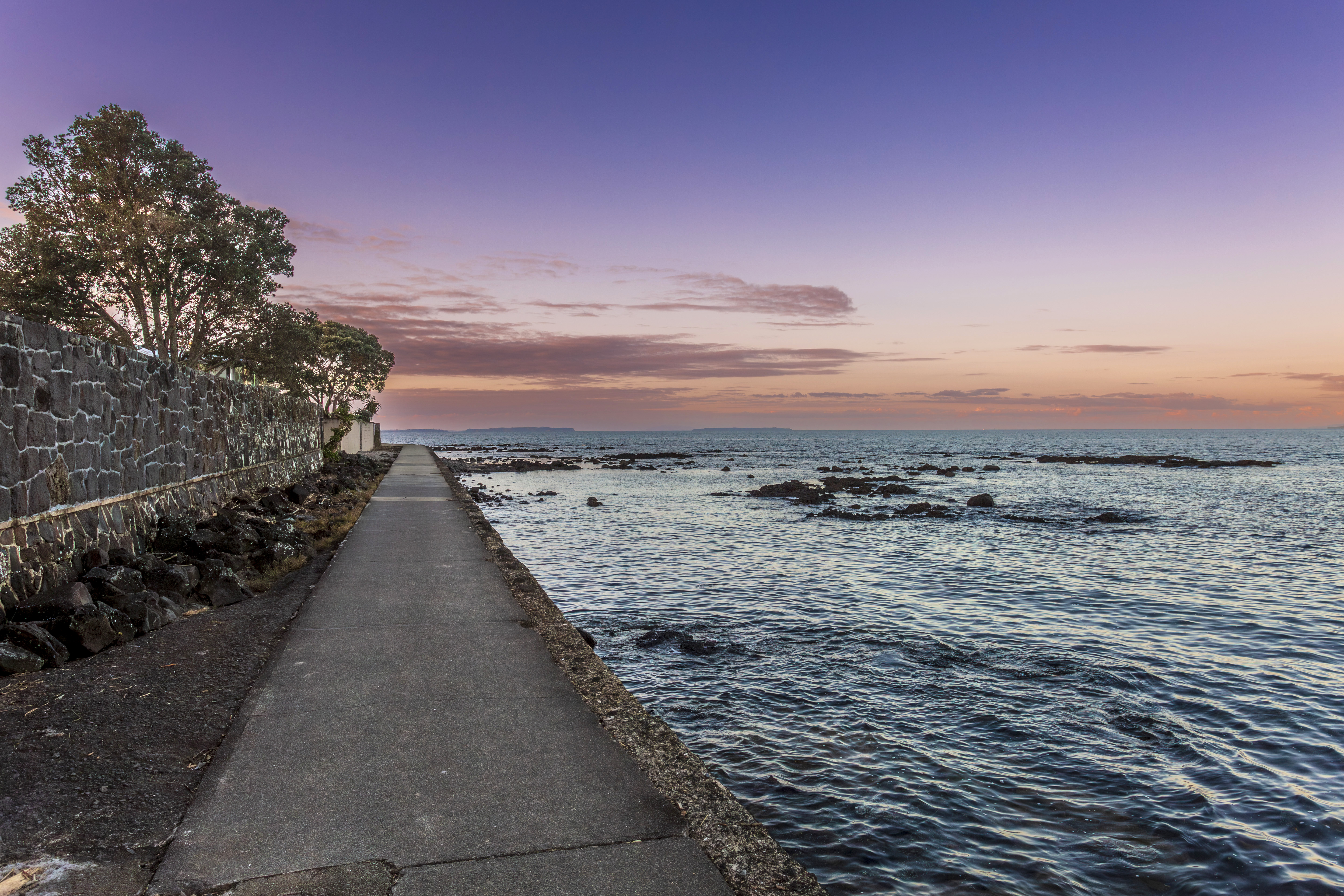  19 Audrey Road, Takapuna - 物件實景
