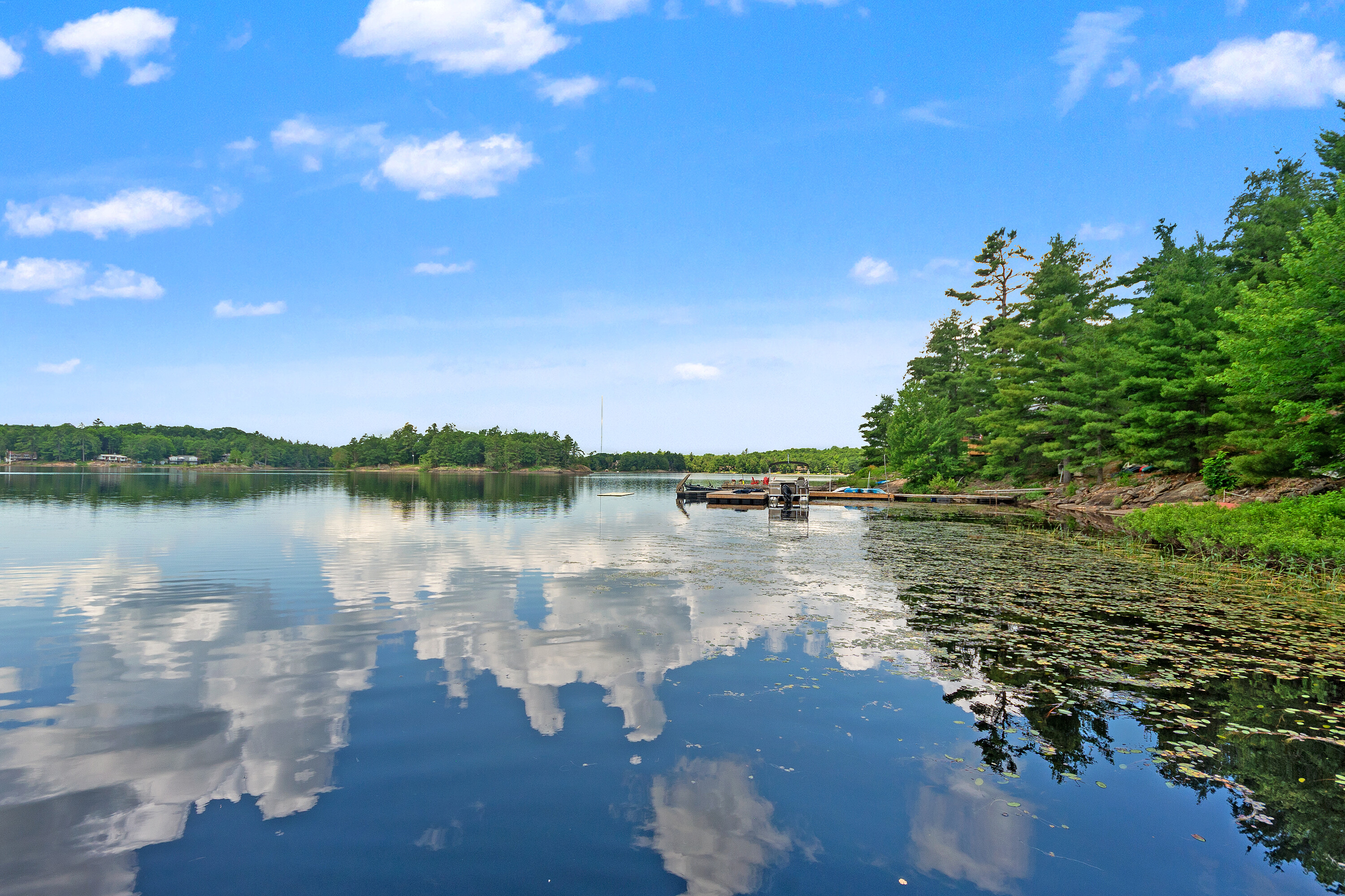  Gibson Lake Family Cottage - 物件實景