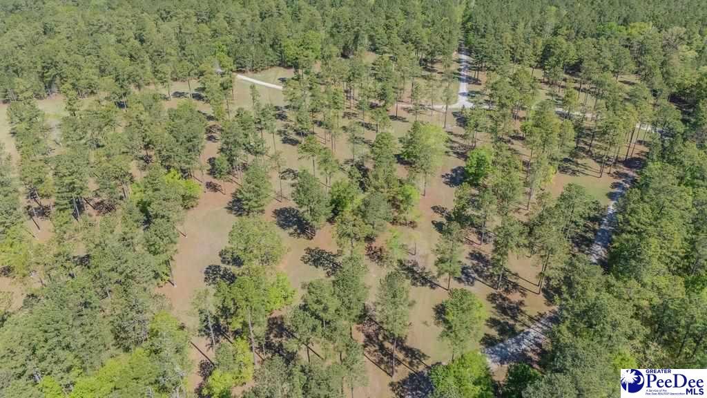 1315 Hill Harrell Road, Effingham, South Carolina, 29541-3179, United States, ,Land,For Sale,1315 Hill Harrell Road,1501598