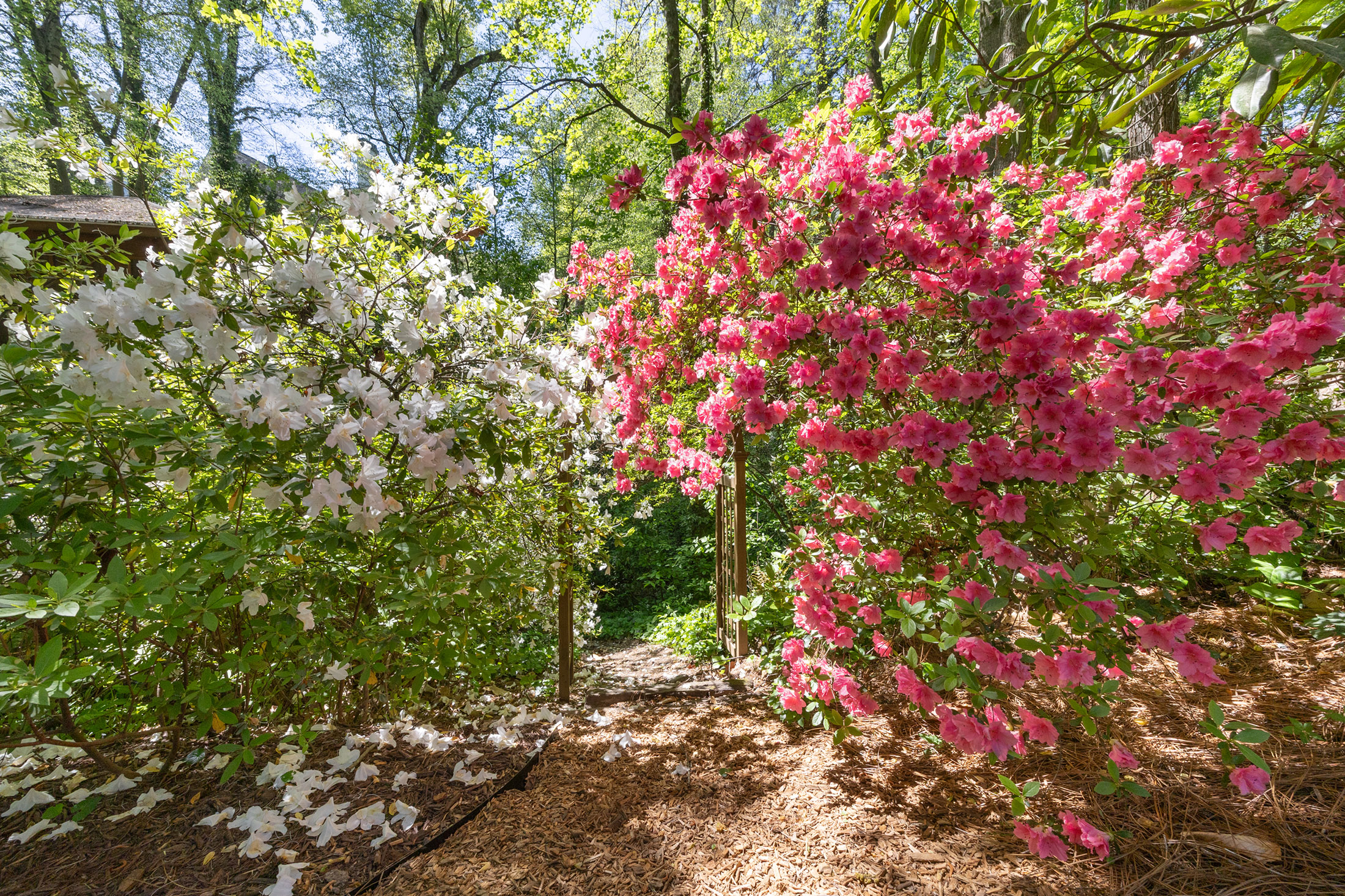  Club Circle Charmer - 物件實景