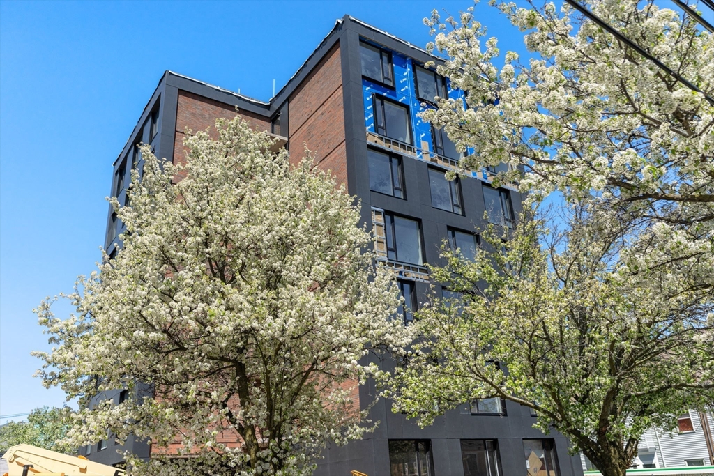 Somerville, Massachusetts, 02143, United States, 3 Bedrooms Bedrooms, ,3 BathroomsBathrooms,Residential,For Sale,1908258