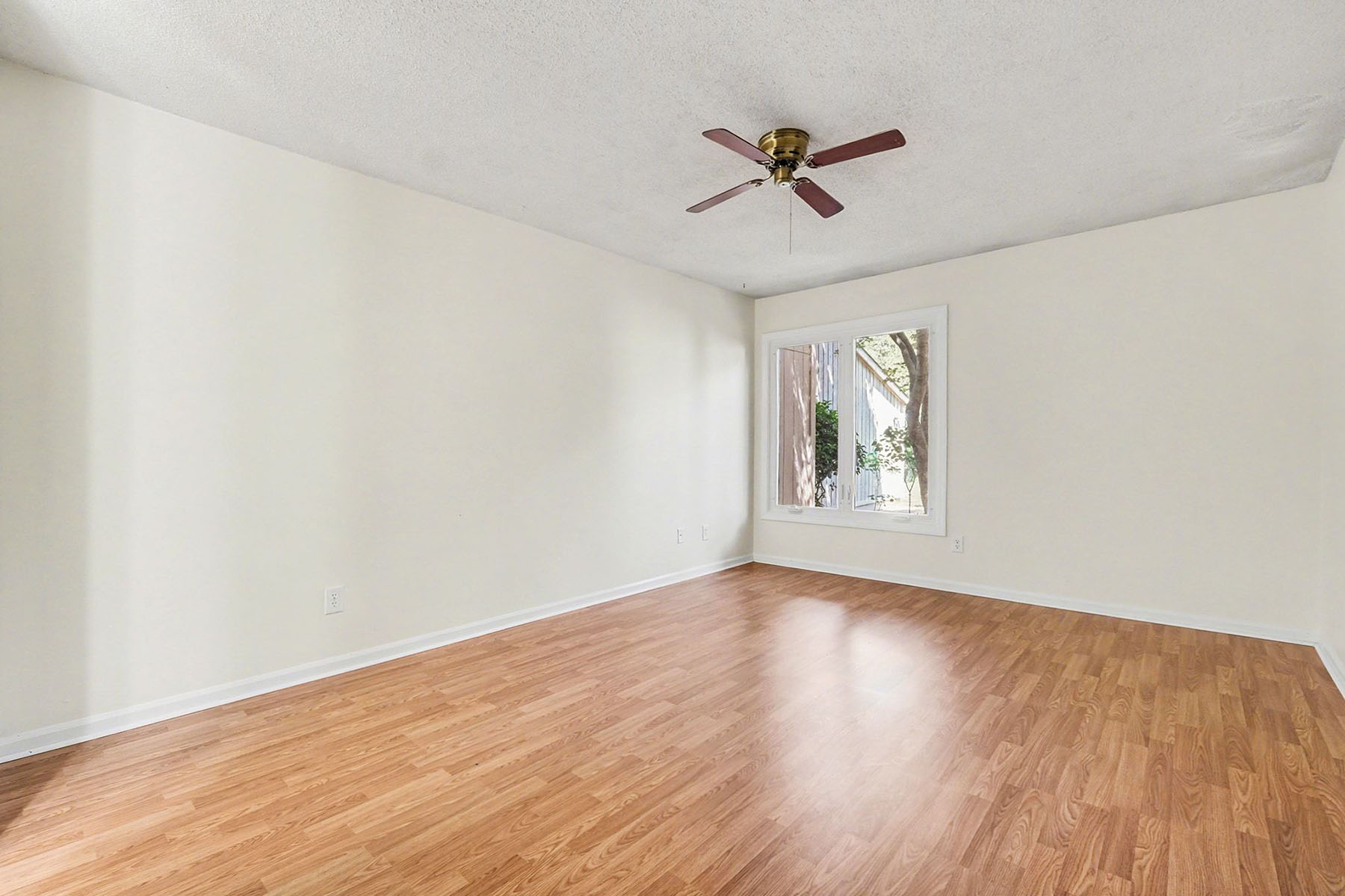  RAINTREE - 物件實景