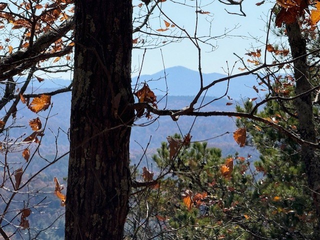 Talking Rock, Georgia, 30175, United States, ,Land,For Sale,1995157
