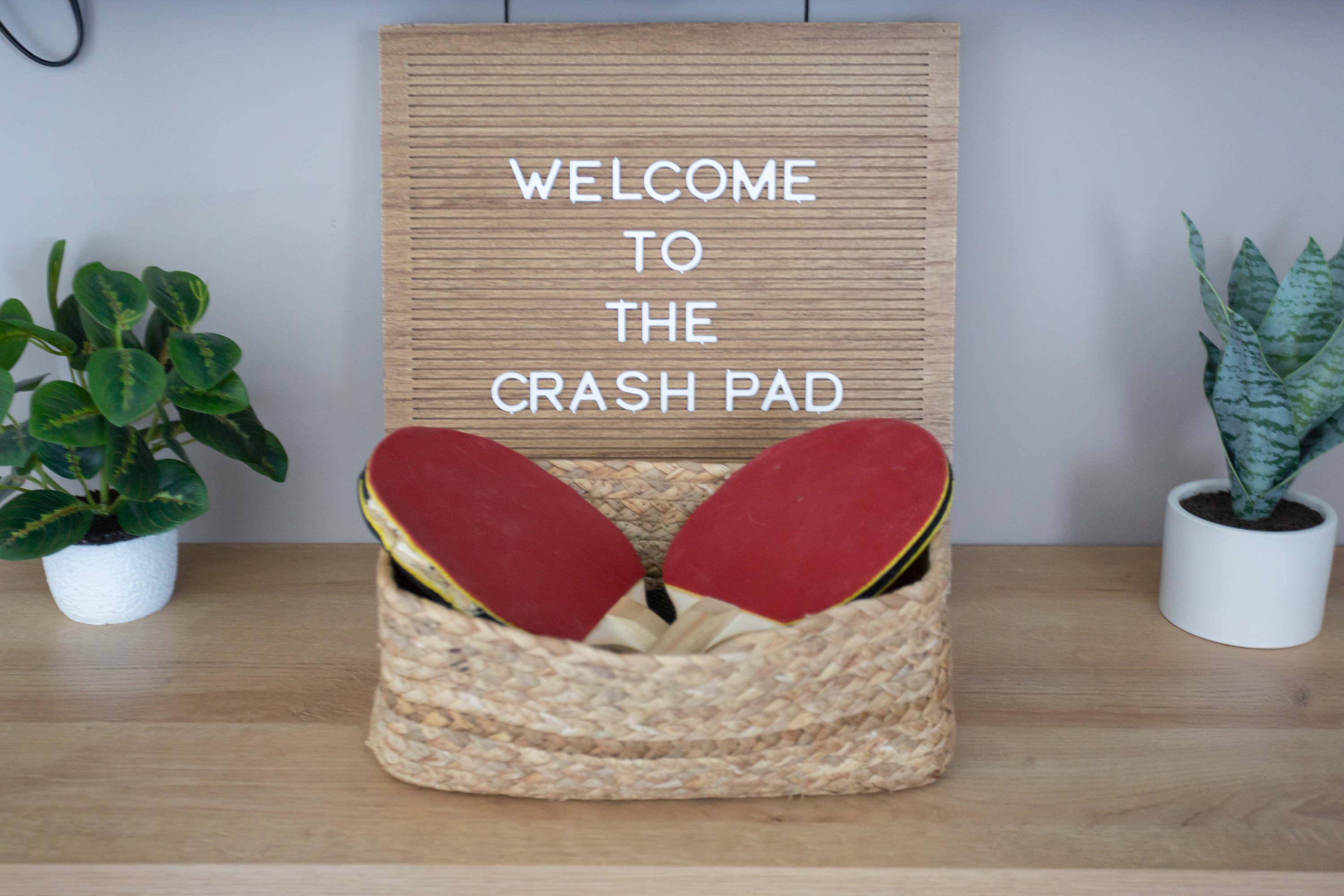  The Crash Pad - 物件實景