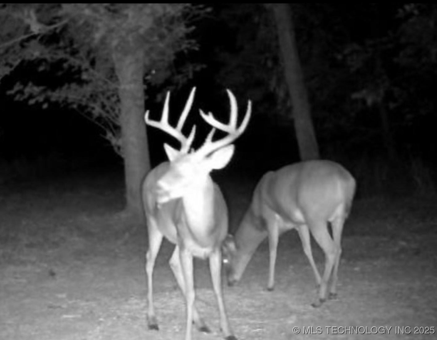 Mounds, Oklahoma, 74047, United States, 4 Bedrooms Bedrooms, ,6 BathroomsBathrooms,Residential,For Sale,1960960