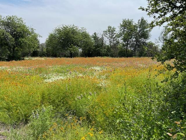 Fort Worth, Texas, 76179, United States, 4 Bedrooms Bedrooms, ,2 BathroomsBathrooms,Residential,For Sale,1993877