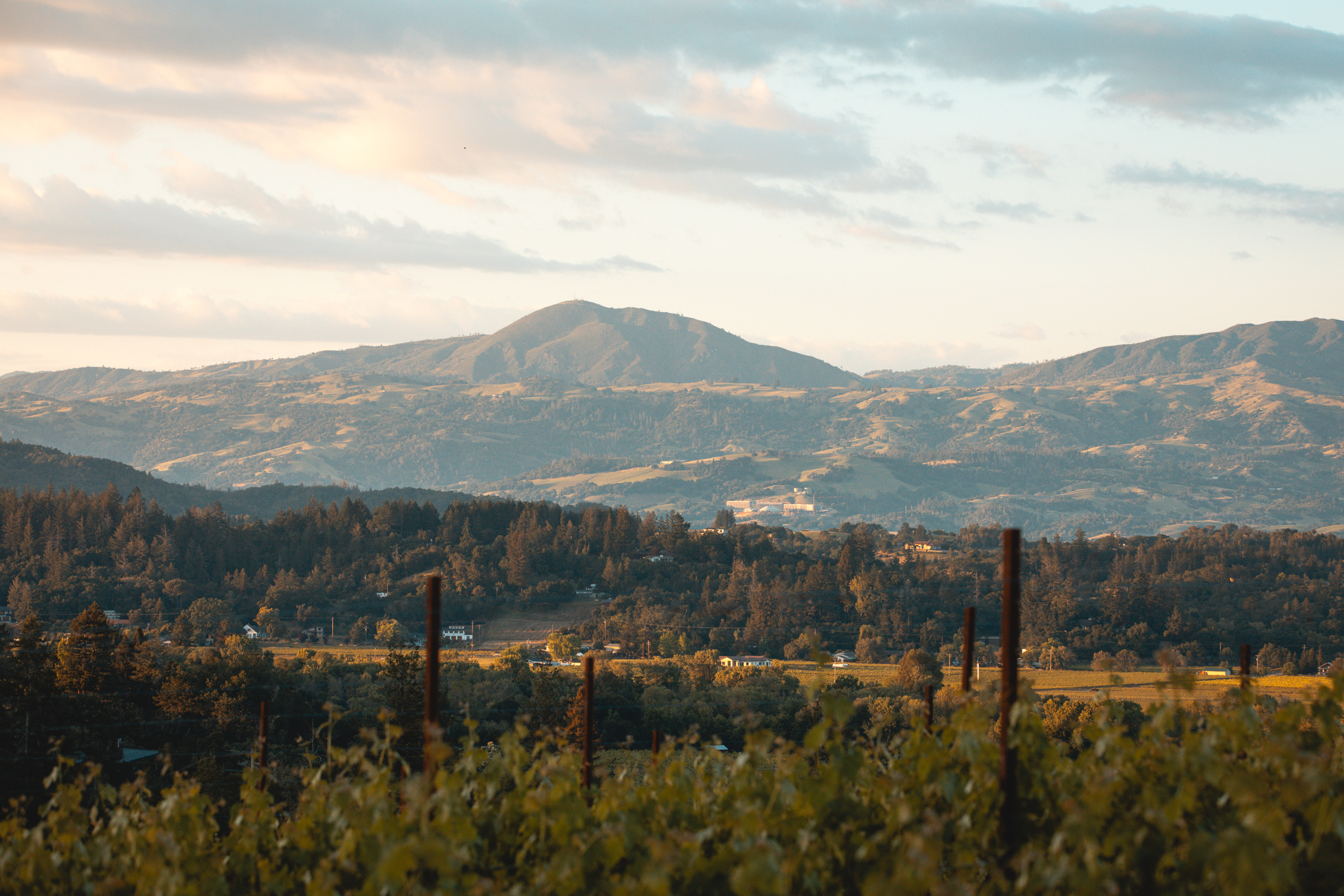  Healdsburg Architectural Estate - 物件實景