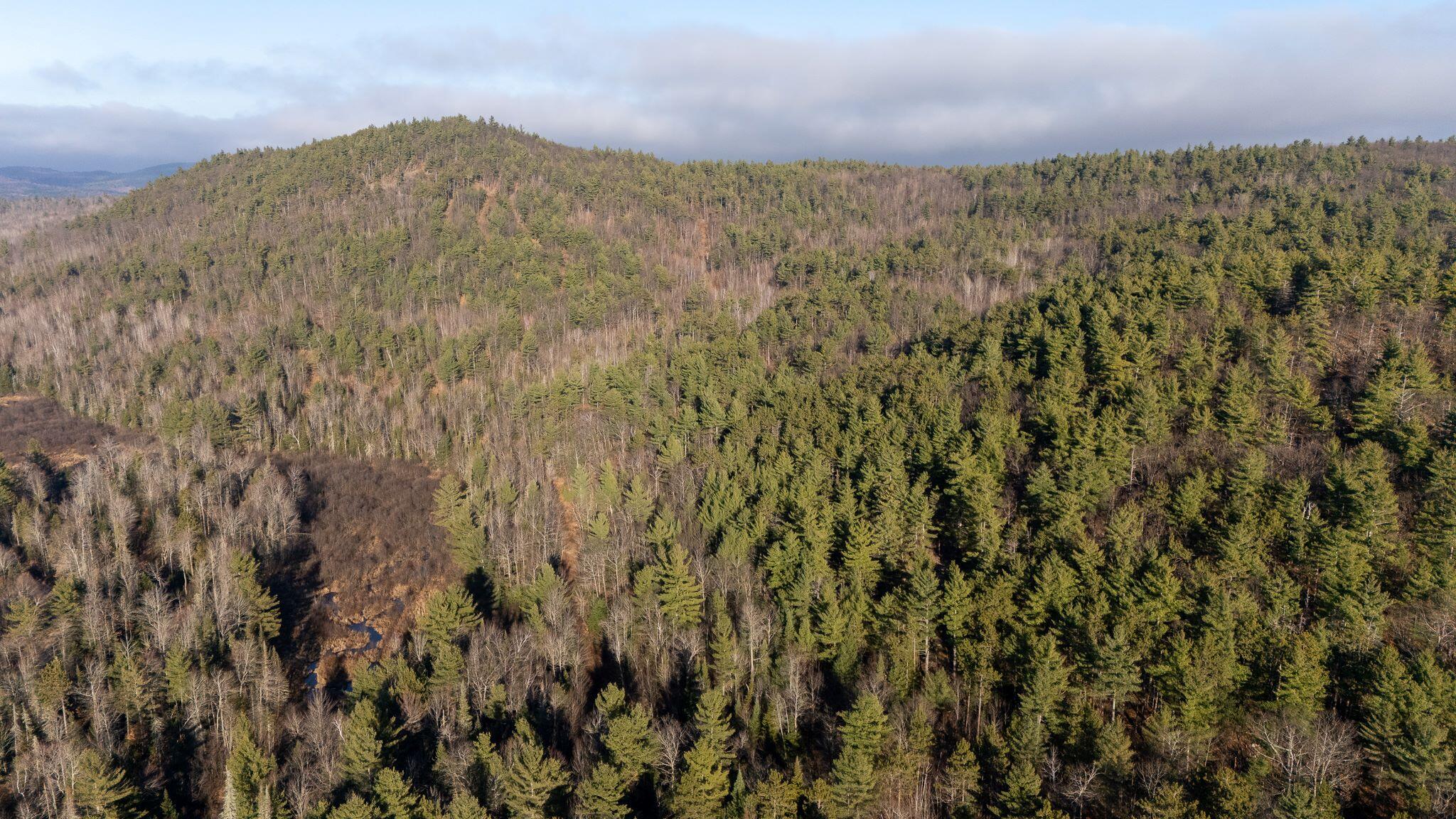 358 Buck Hill Road, Black Brook, New York, 12912, United States, ,Land,For Sale,358 Buck Hill Road,1668250