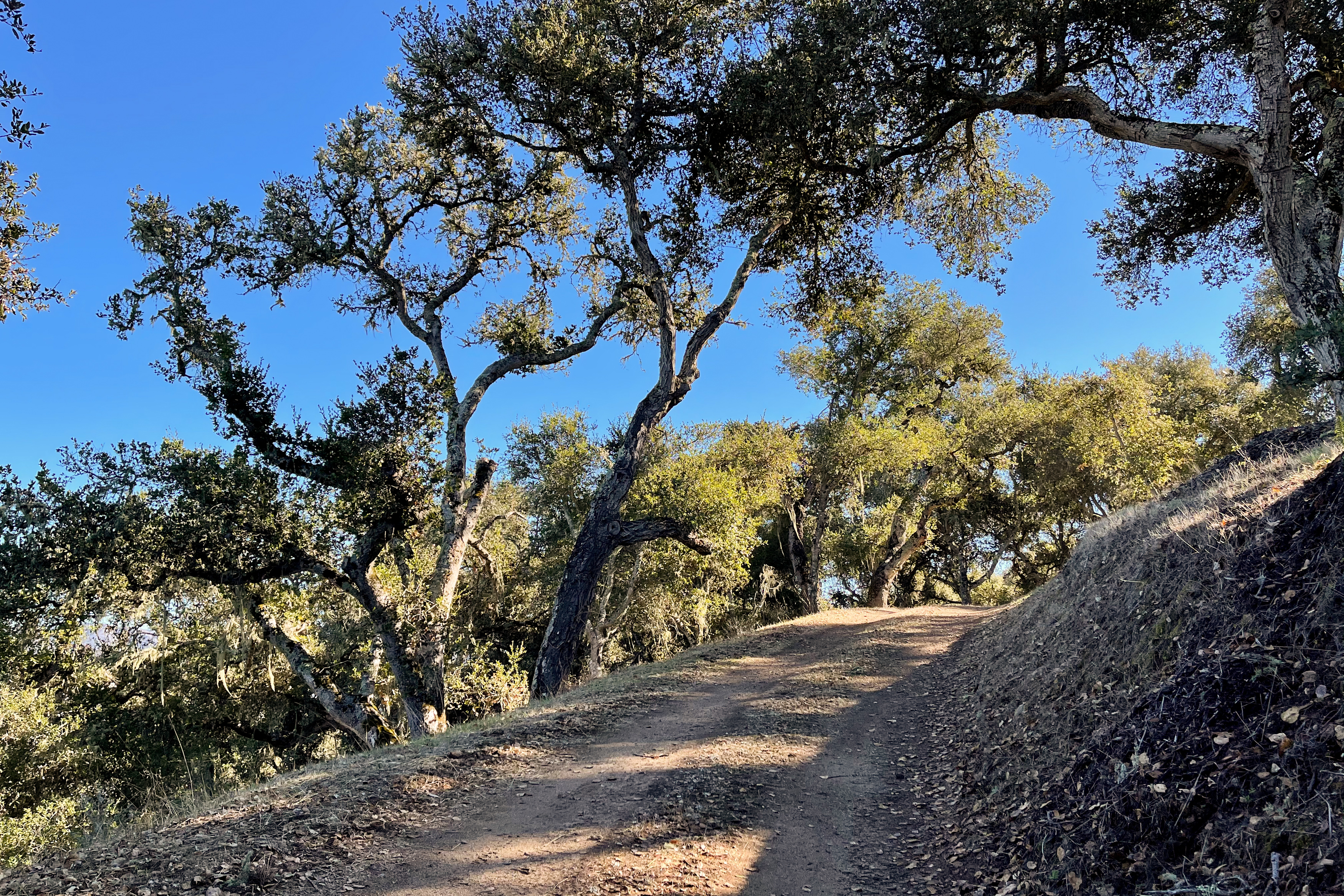  17114 Cachagua Road - 物件實景