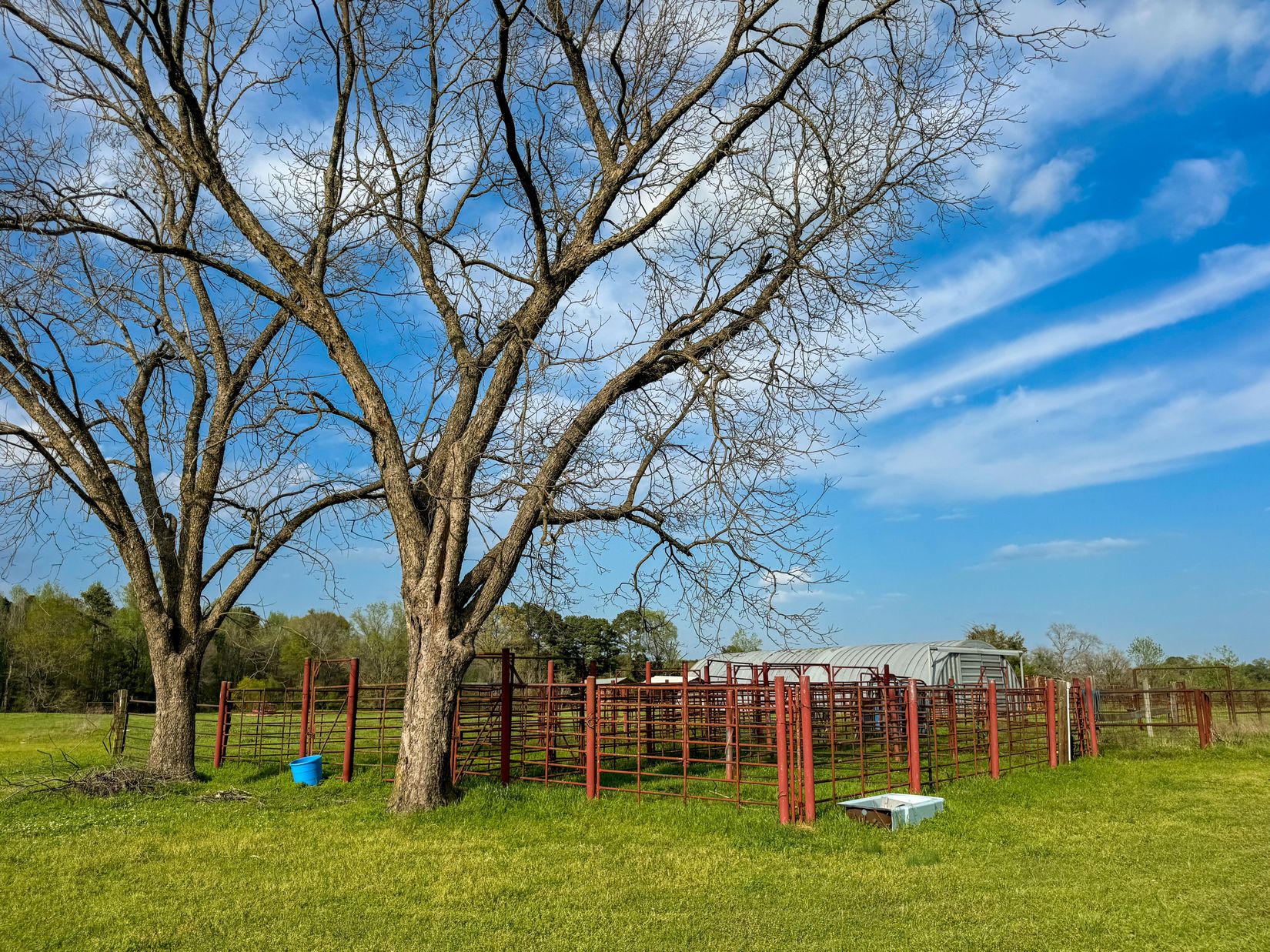 Bivins, Texas, 75555, United States, ,Residential,For Sale,1755933