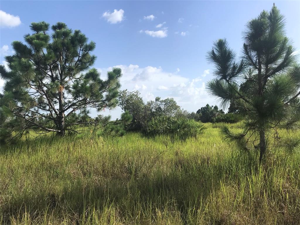 Punta Gorda, Florida, 33982, United States, ,Land,For Sale,1806148