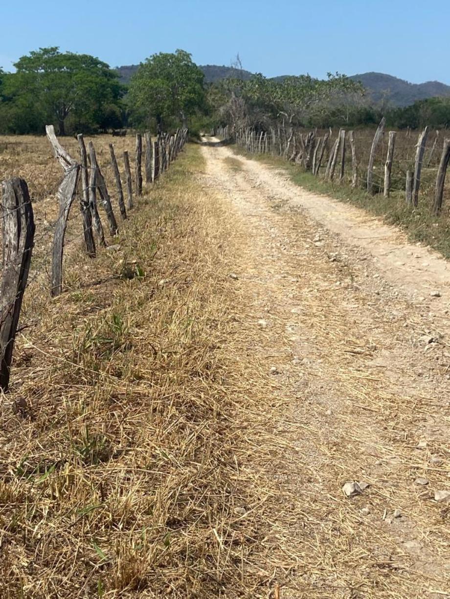 Fraccion I Parcela 1166, Compostela, Nayarit, 63724, Mexico, 1 Bedroom Bedrooms, ,Residential,For Sale, Fraccion I Parcela 1166,1672156