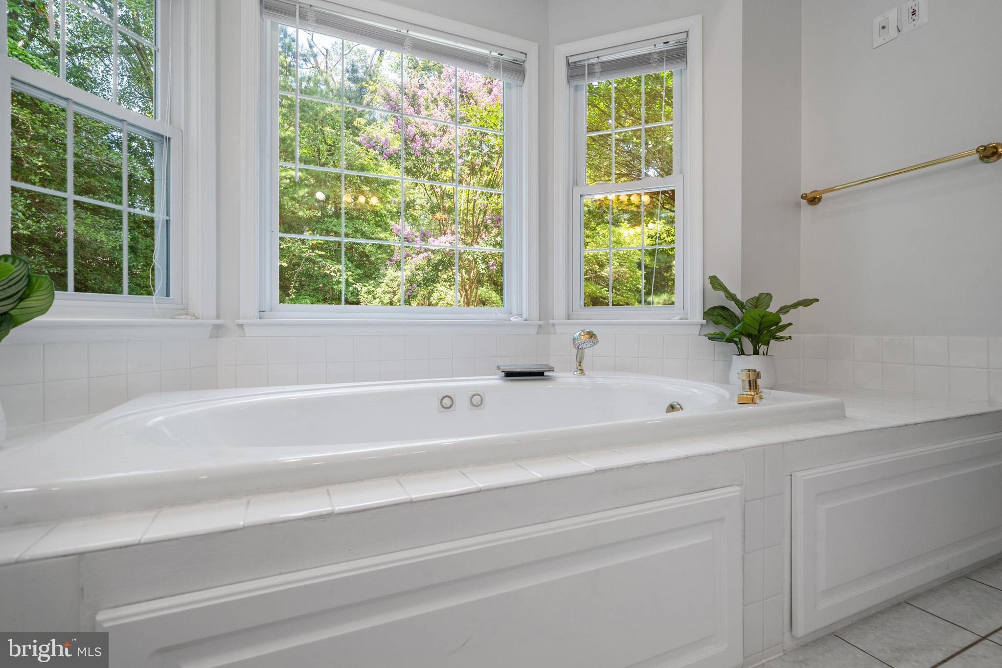Issue, Maryland, 20645, United States, 5 Bedrooms Bedrooms, ,5 BathroomsBathrooms,Residential,For Sale,1912917