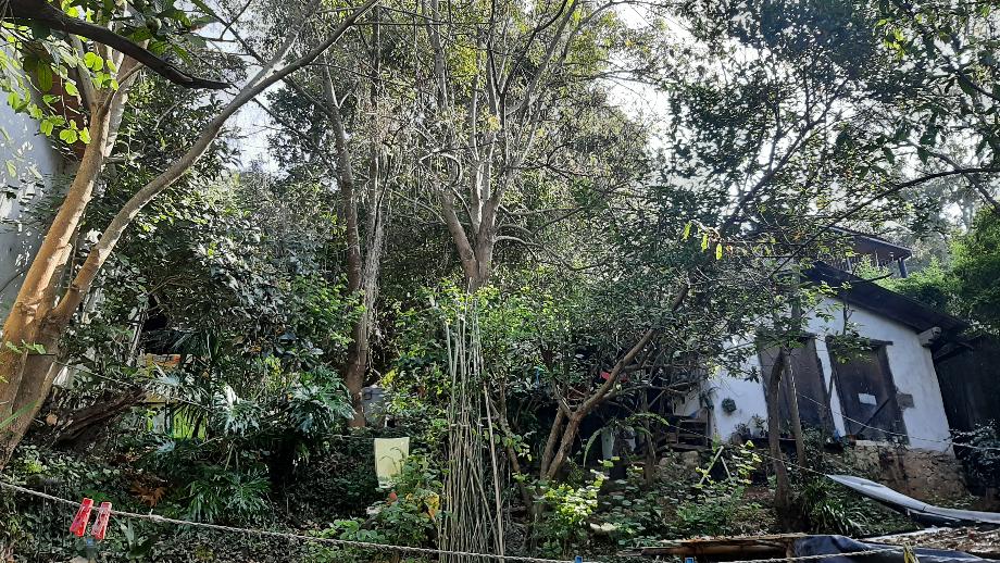 Valle de Bravo, Estado de méxico, 51200, Mexico, 1 Bedroom Bedrooms, ,Residential,For Sale,1721509