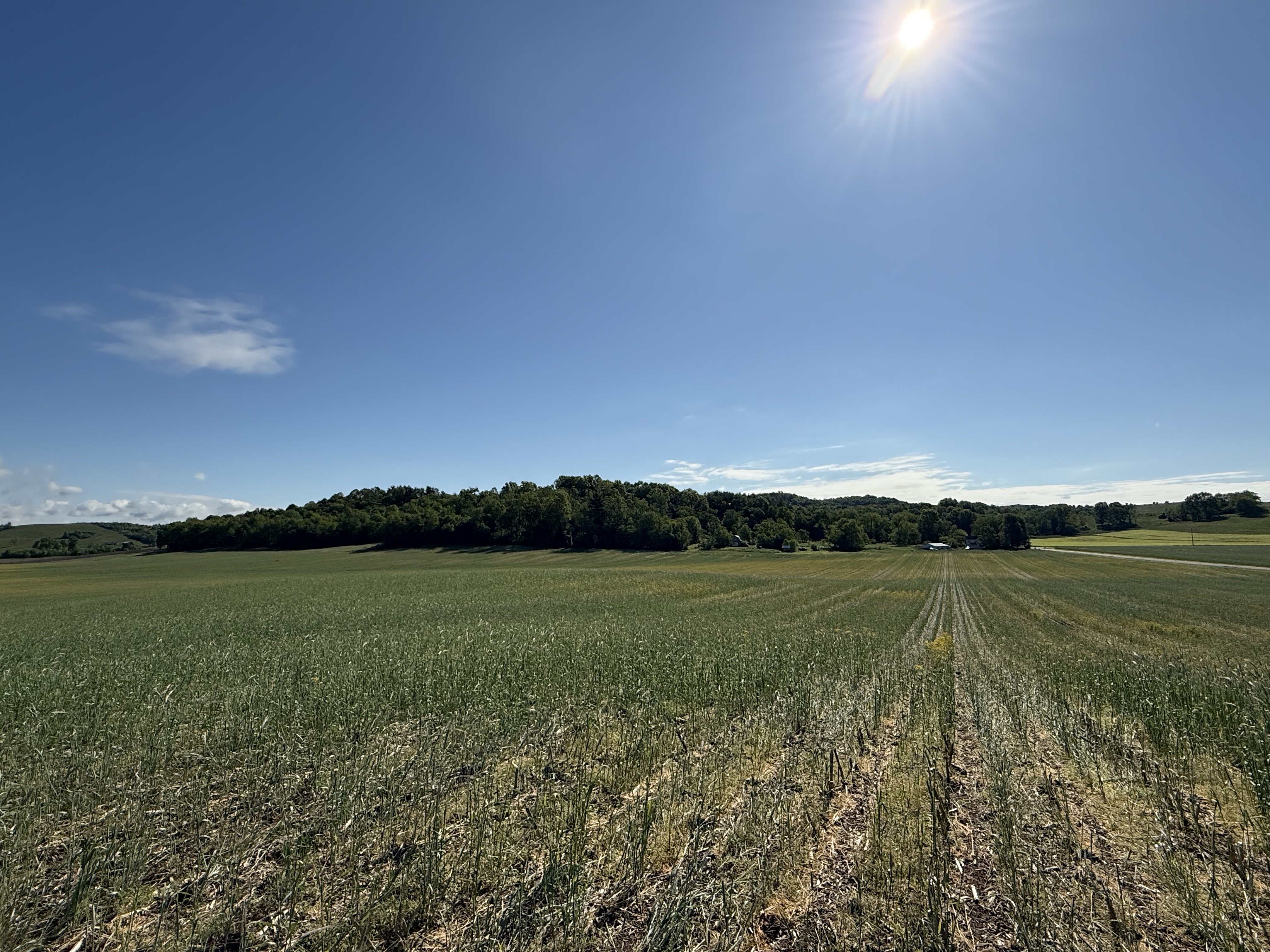 West Lafayette, Ohio, 43845, United States, ,Residential,For Sale,1825407
