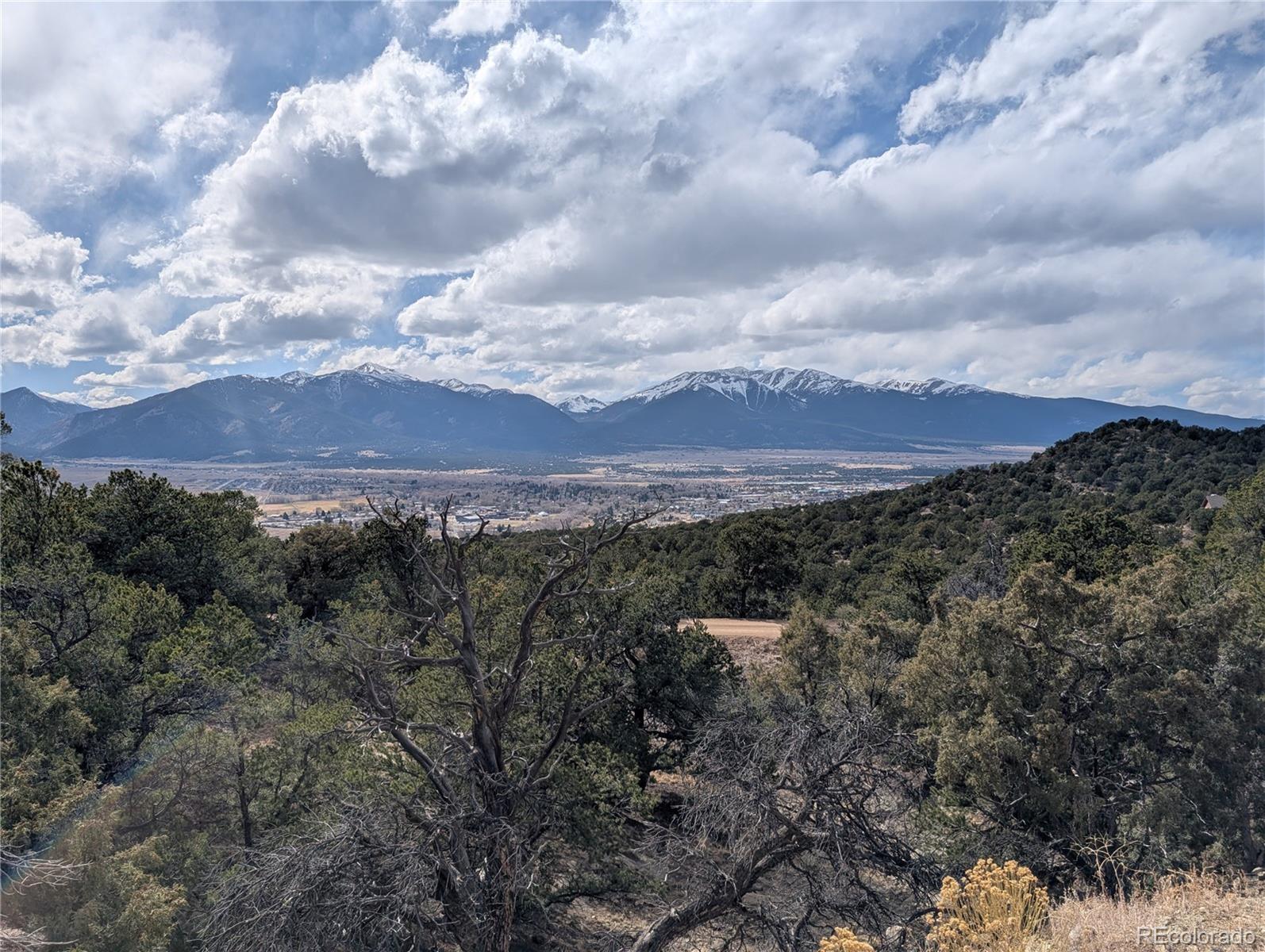 Buena Vista, Colorado, 81211, United States, ,Land,For Sale,1979562