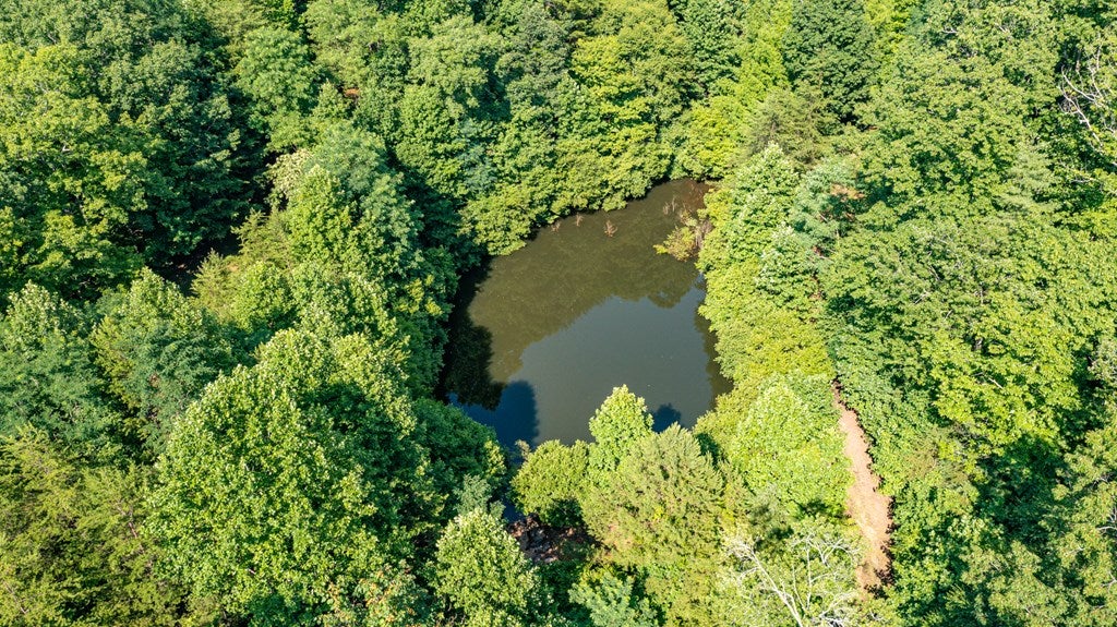 Cherry Log, Georgia, 30522, United States, ,Land,For Sale,1858995