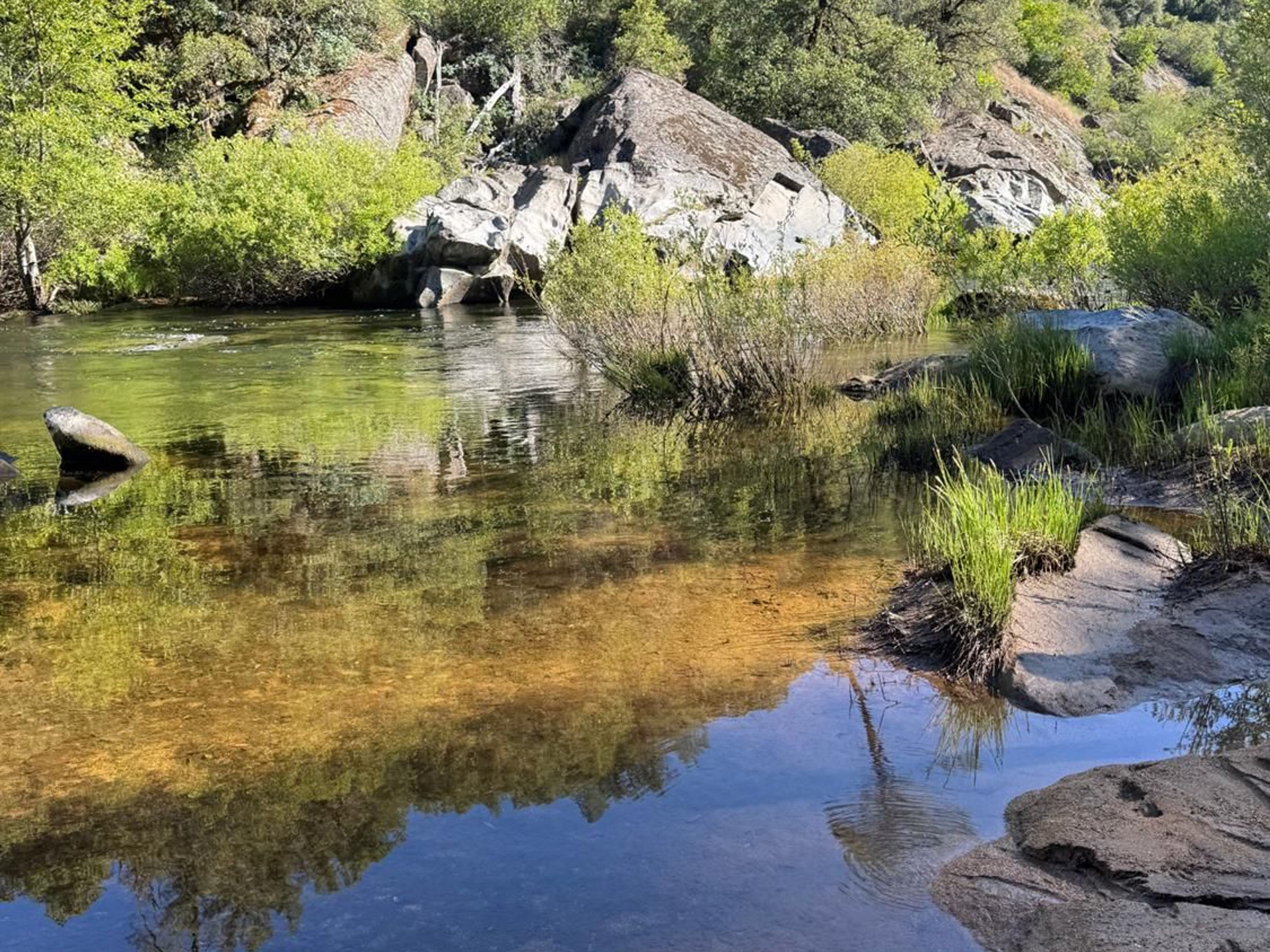  0 Old Country Road, West Point, CA 95255 - 物件實景