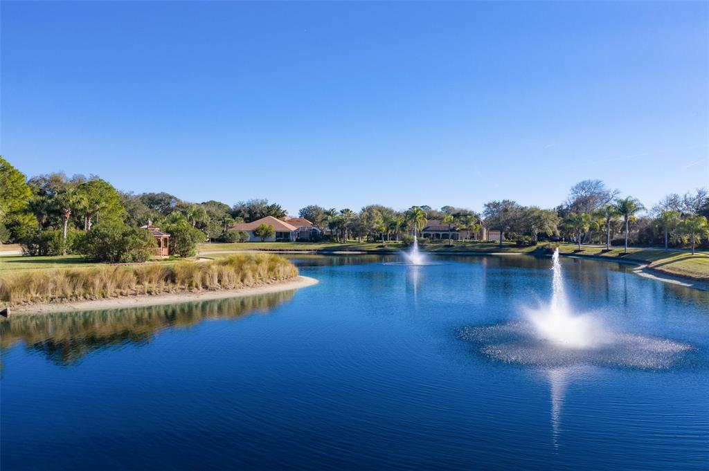 Palm Coast, Florida, 32137, United States, ,Land,For Sale,1723733