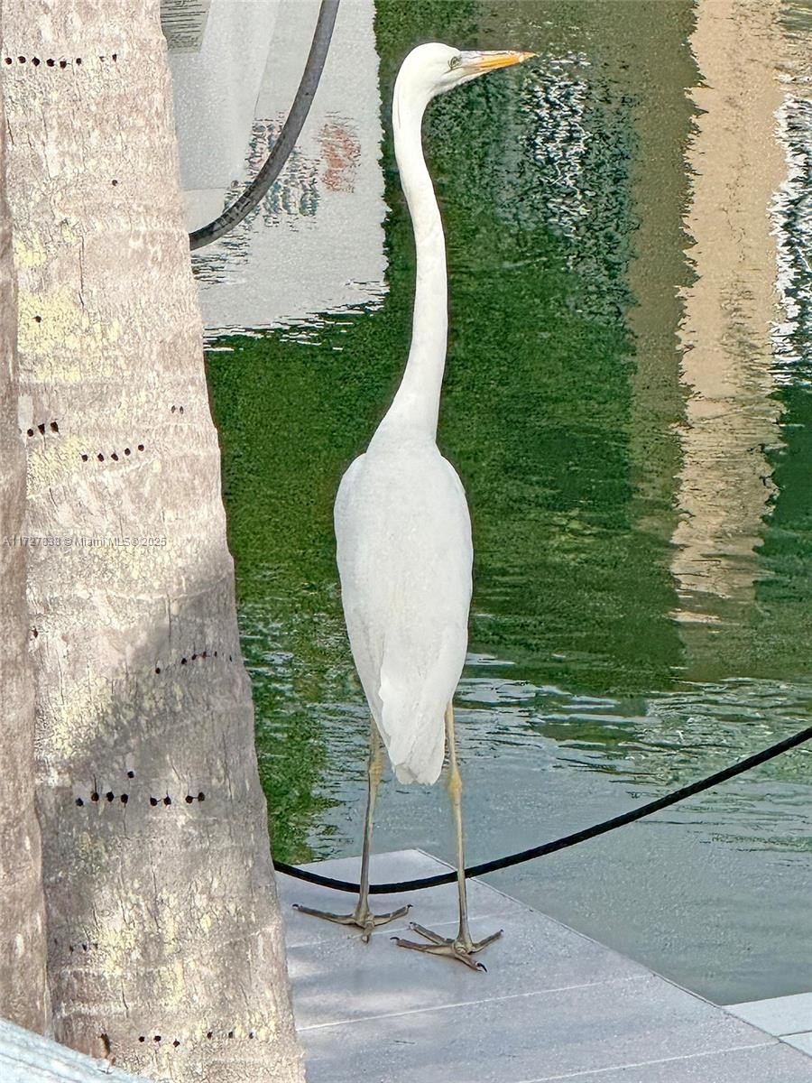 Key Largo, Florida, 33037, United States, 3 Bedrooms Bedrooms, ,3 BathroomsBathrooms,Residential,For Sale,1975772