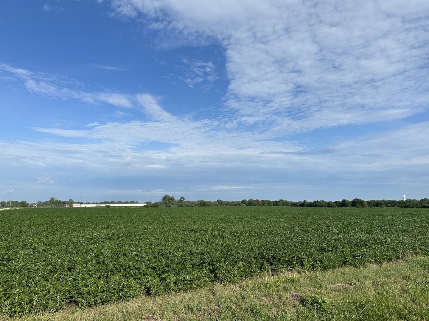 Beecher, Illinois, 60401, United States, ,Residential,For Sale,1907439