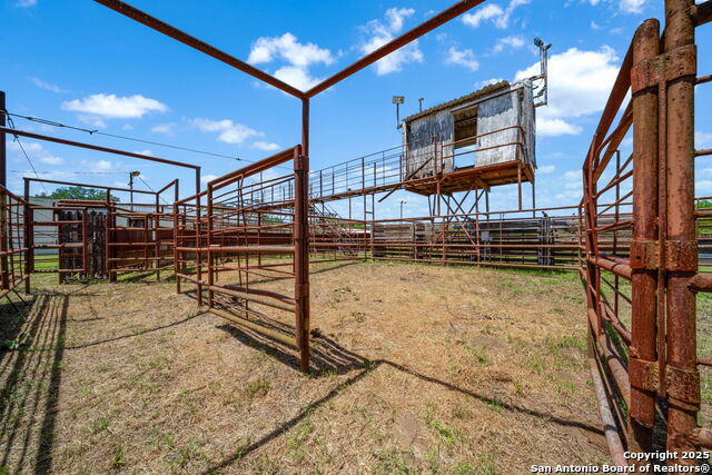 Atascosa, Texas, 78002, United States, ,Land,For Sale,1785405