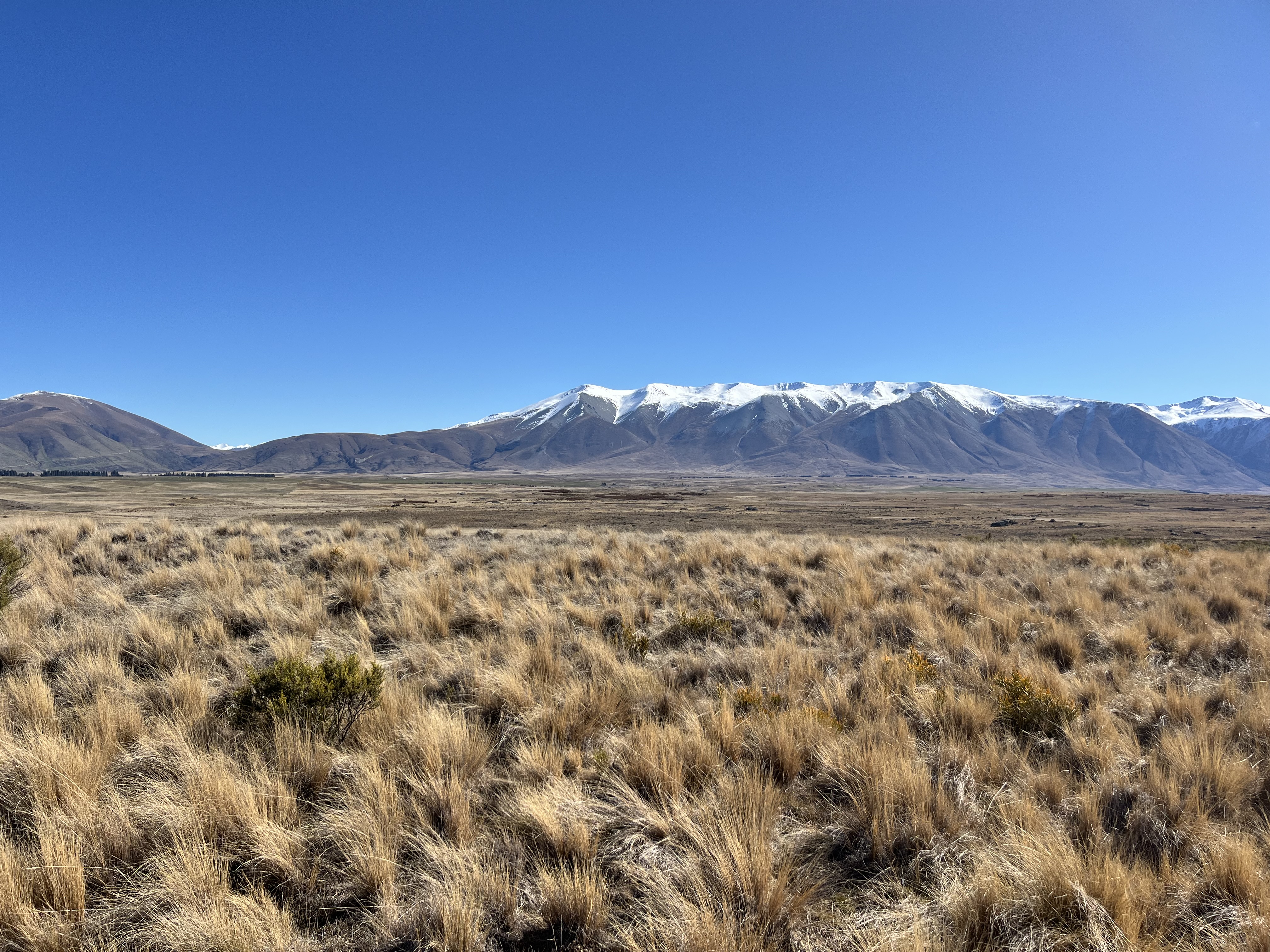  Ohau Downs Station - 物件實景