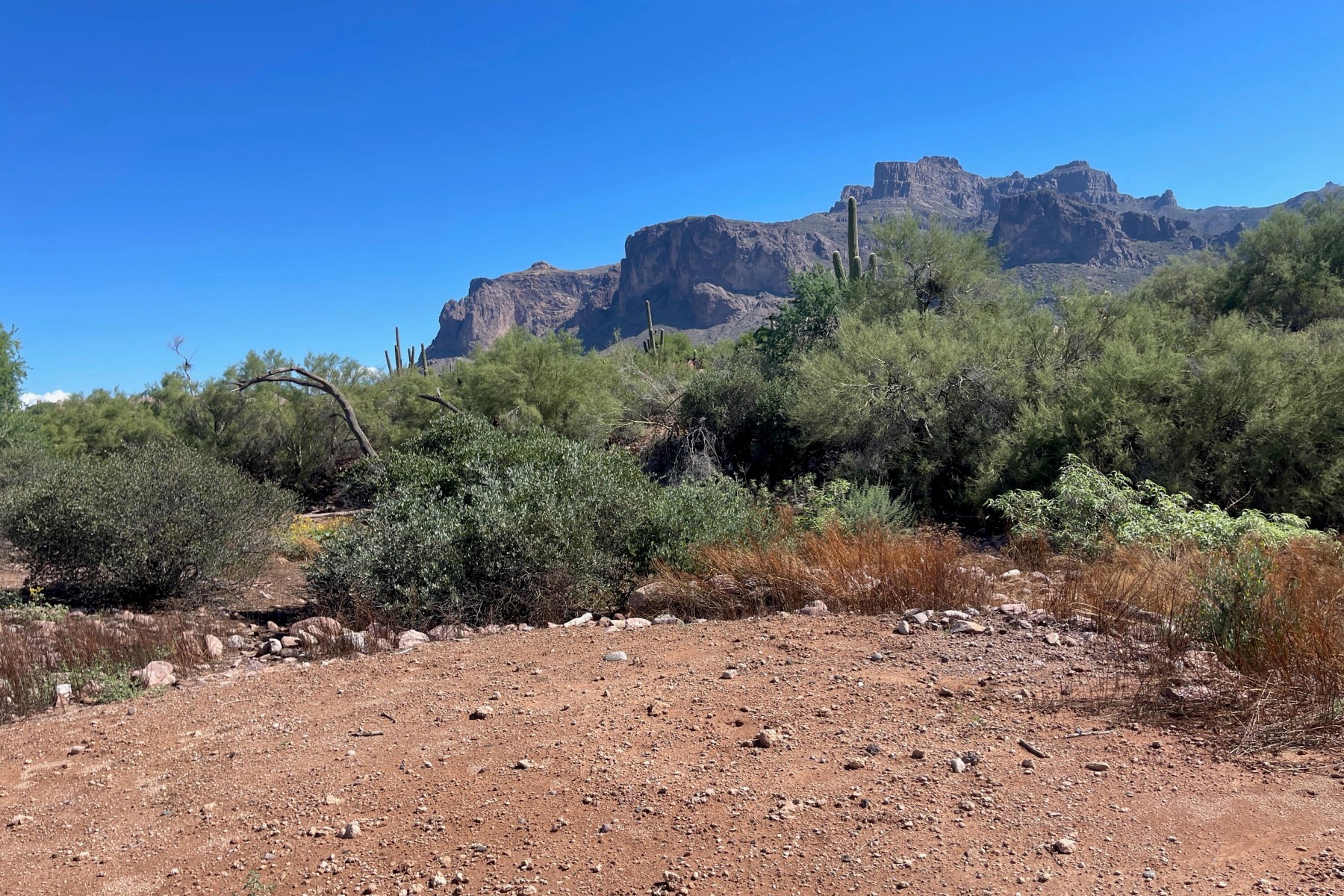  52 E Scenic (geronimo) Street¦Apache Junction, AZ - 物件實景